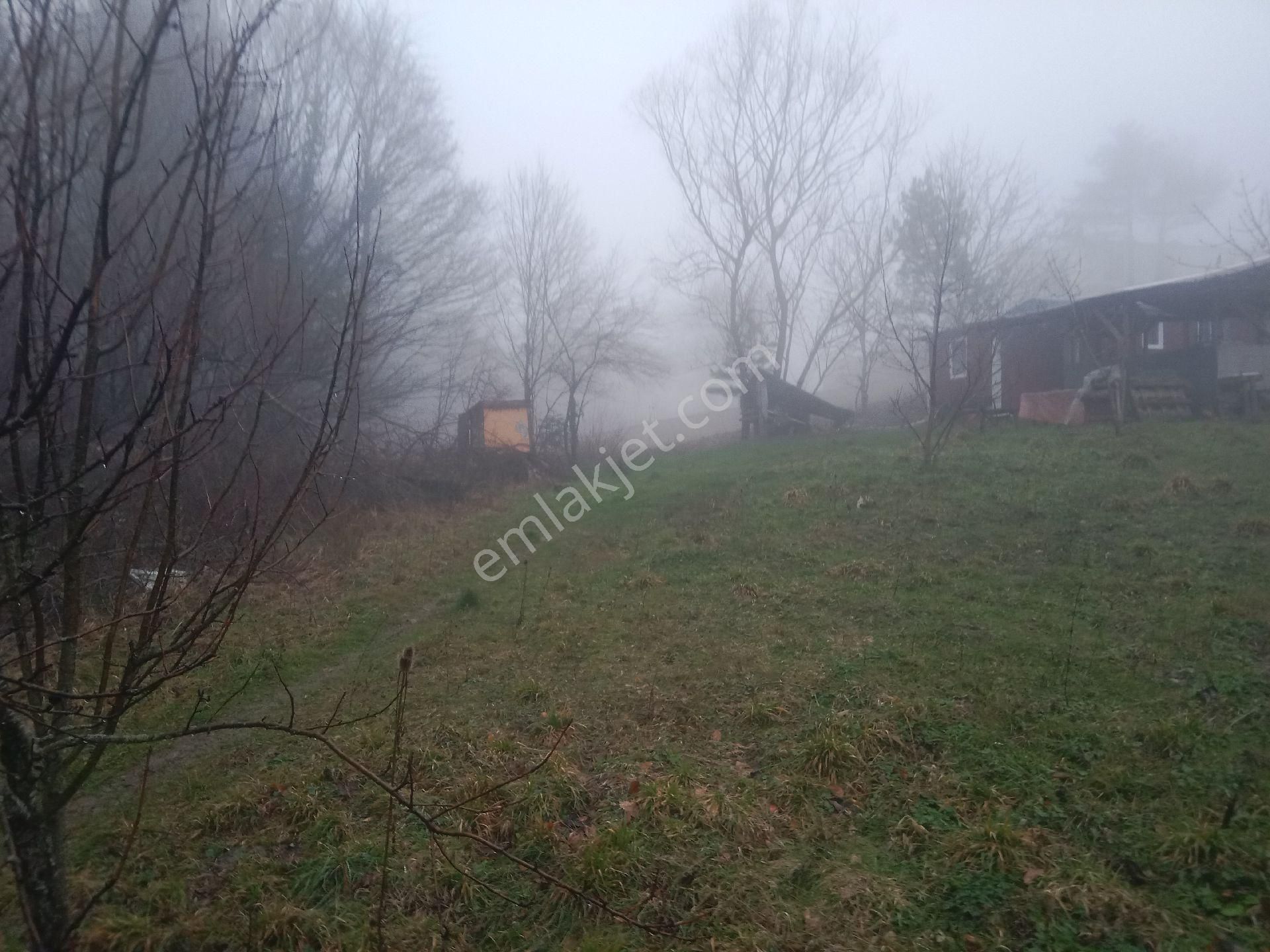 Bursa Kestel Orhaniye-ana Yola Sıfır, Sulu, Elektrikli, 60 Meyve Ağacı+ev+veranda - Görsel 20