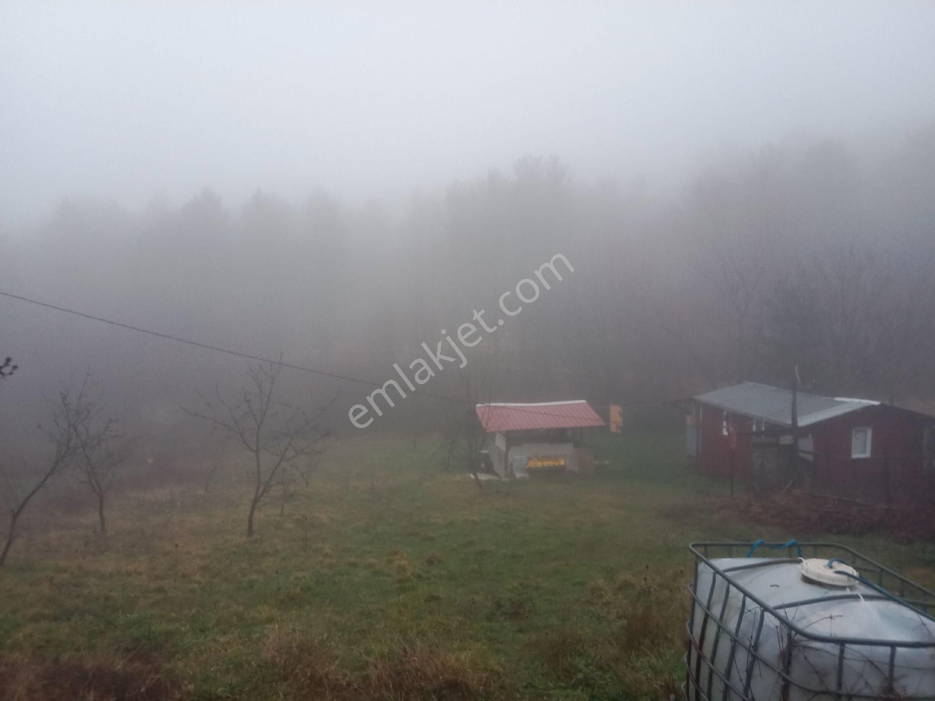 Bursa Kestel Orhaniye-ana Yola Sıfır, Sulu, Elektrikli, 60 Meyve Ağacı+ev+veranda - Görsel 15