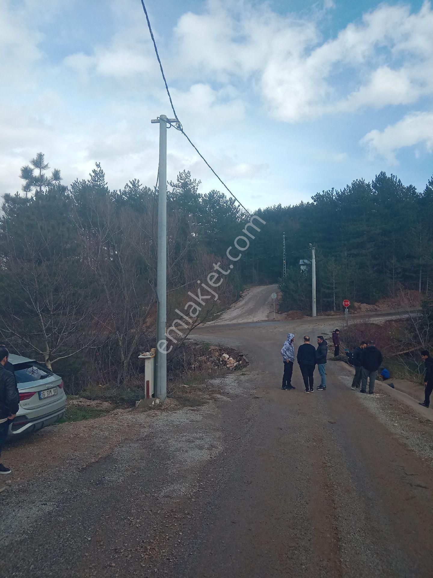 Bursa Kestel Orhaniye-ana Yola Sıfır, Sulu, Elektrikli, 60 Meyve Ağacı+ev+veranda - Görsel 5