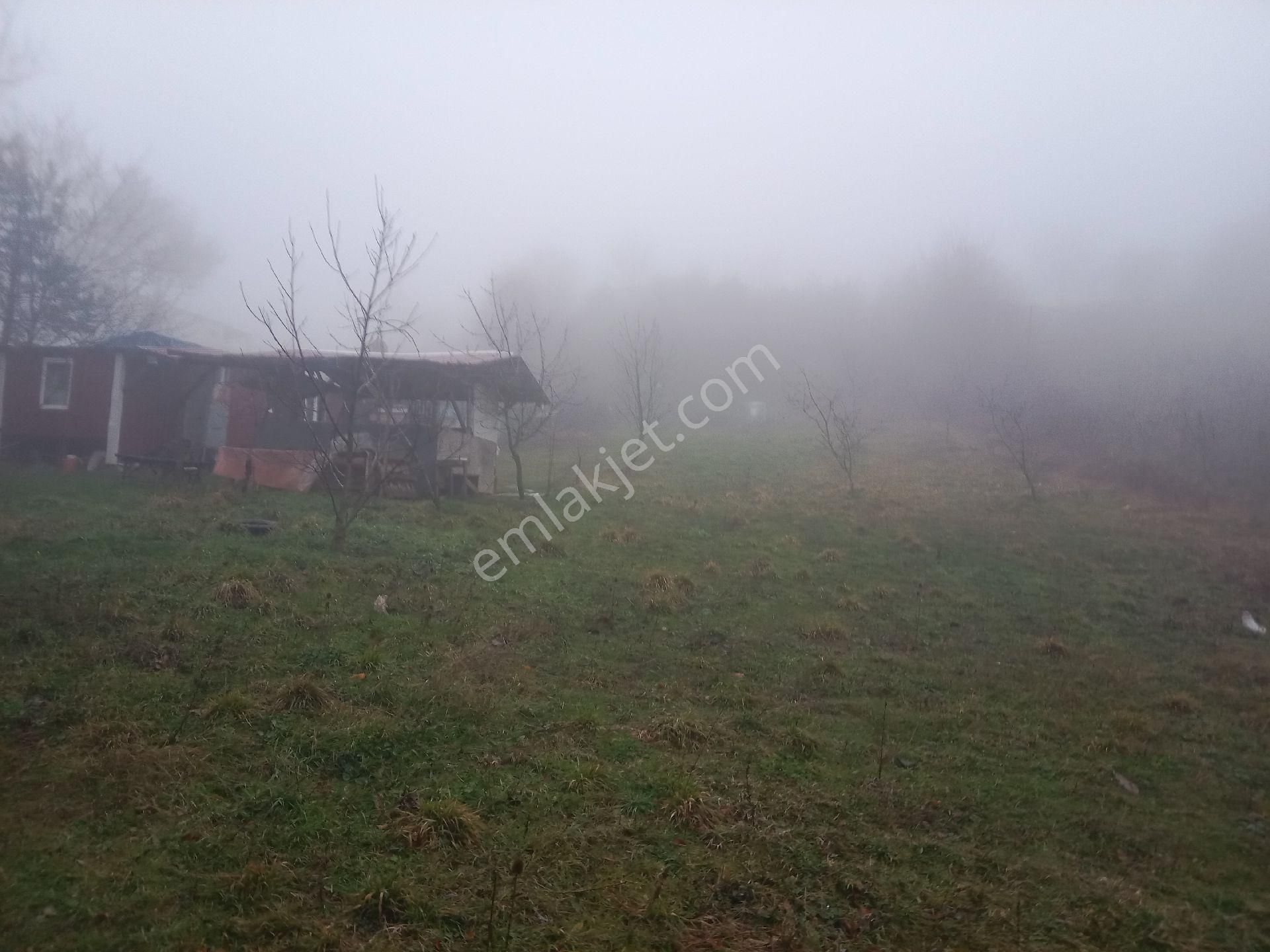 Bursa Kestel Orhaniye-ana Yola Sıfır, Sulu, Elektrikli, 60 Meyve Ağacı+ev+veranda - Görsel 17