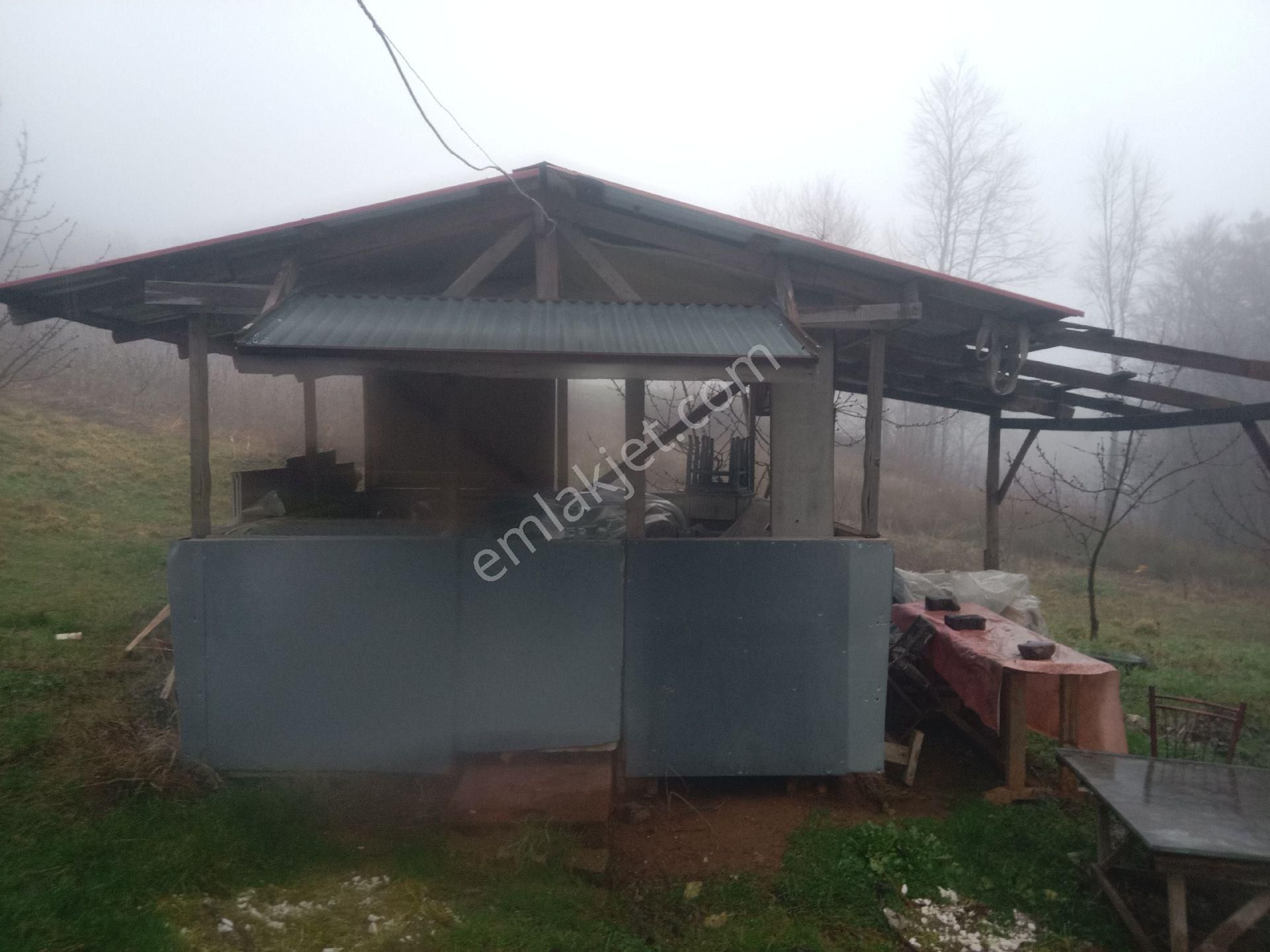 Bursa Kestel Orhaniye-ana Yola Sıfır, Sulu, Elektrikli, 60 Meyve Ağacı+ev+veranda - Görsel 7