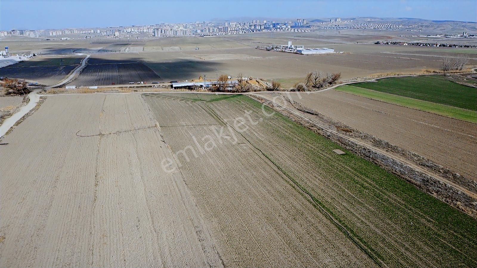 Alkan'dan Malıköy'de Tek Tapu Arsa