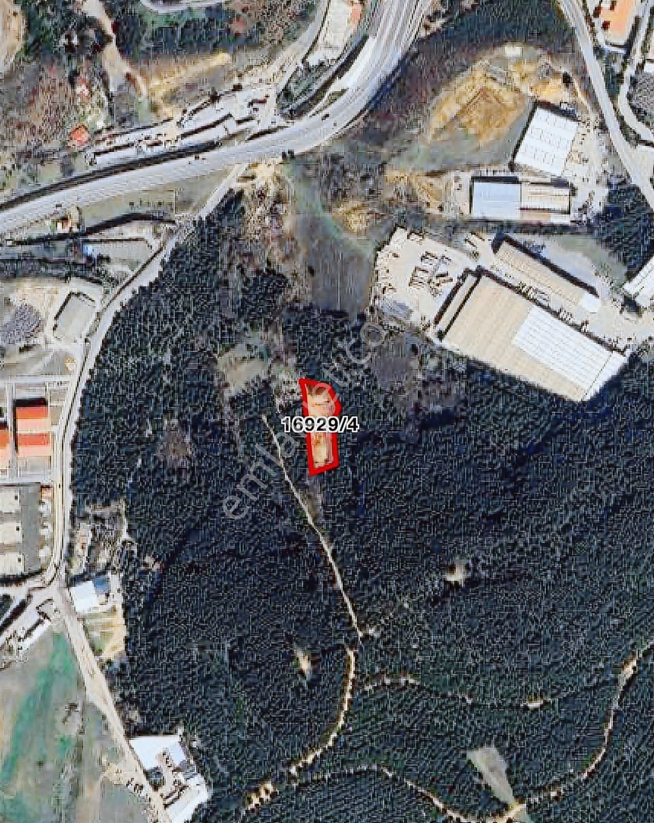 Maltepe Büyükbakkalköy'de Orman İçinde Satılık Tarla