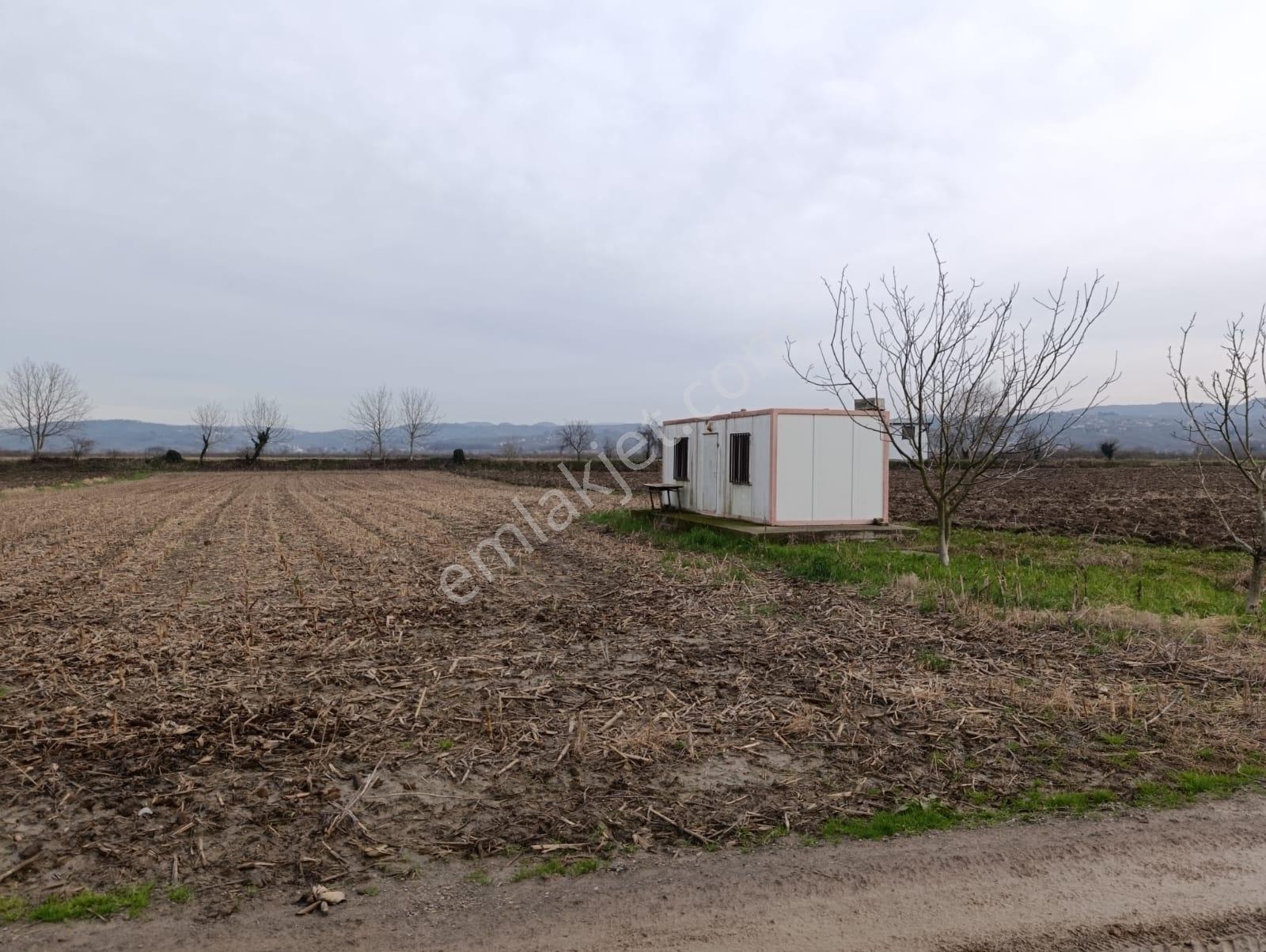 4.018 M² Satılık Tarla Konteyner Ve Yapı Kayıt Belgeli - Görsel 16