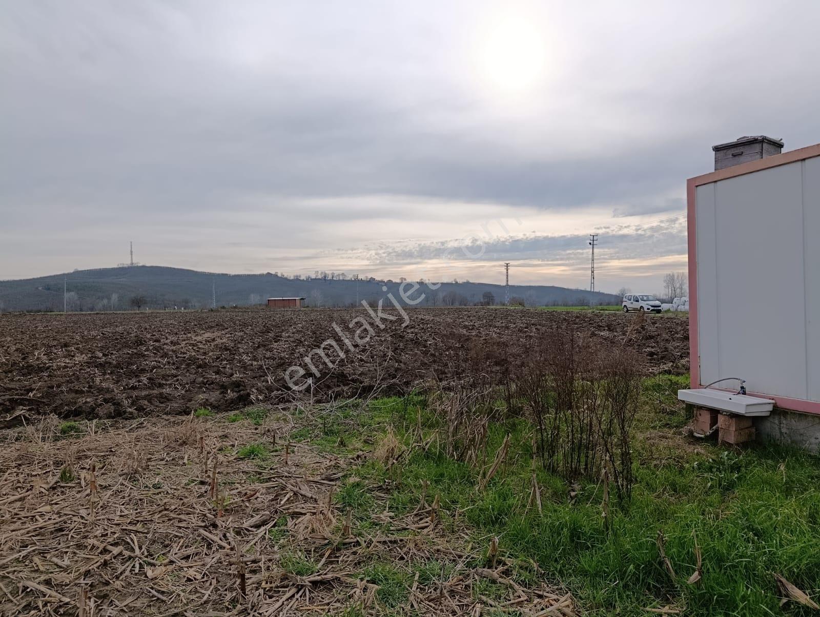 4.018 M² Satılık Tarla Konteyner Ve Yapı Kayıt Belgeli - Görsel 3