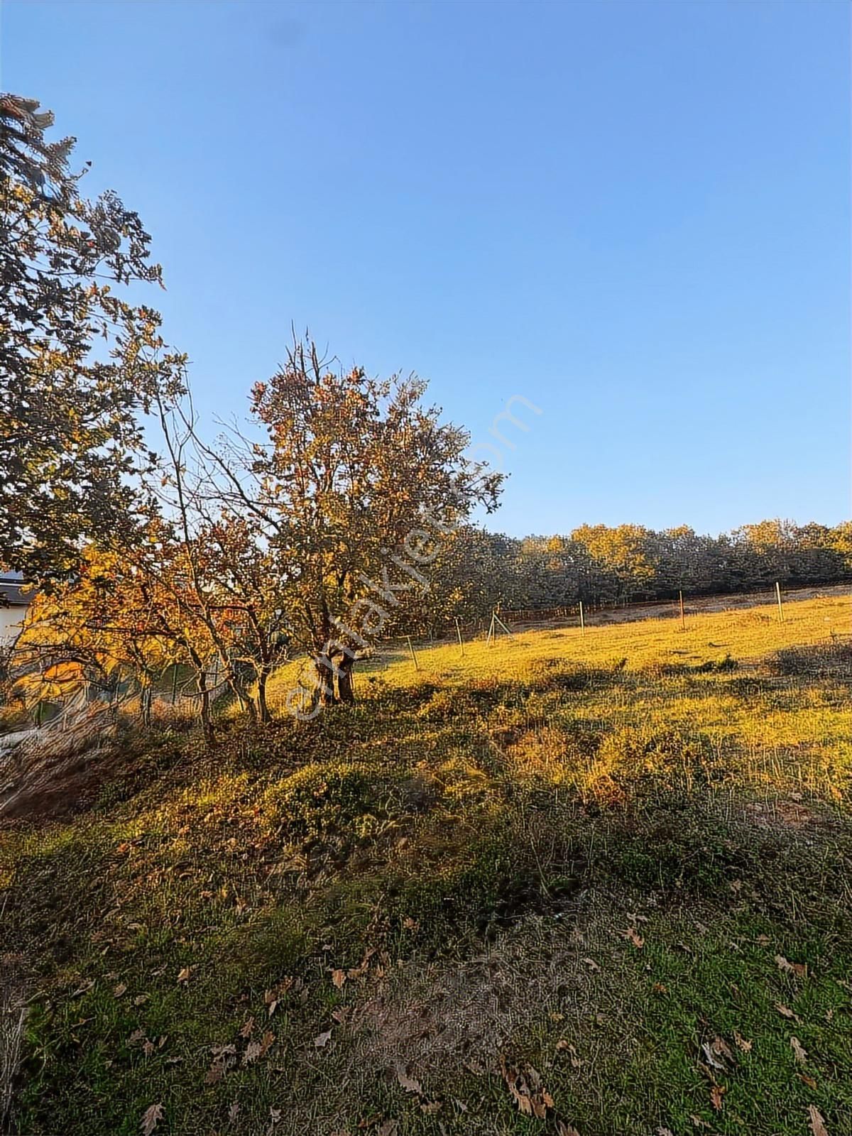 Kocaeli Ovacık Mahallesi Satılık 396 M2 Tarla - Görsel 7