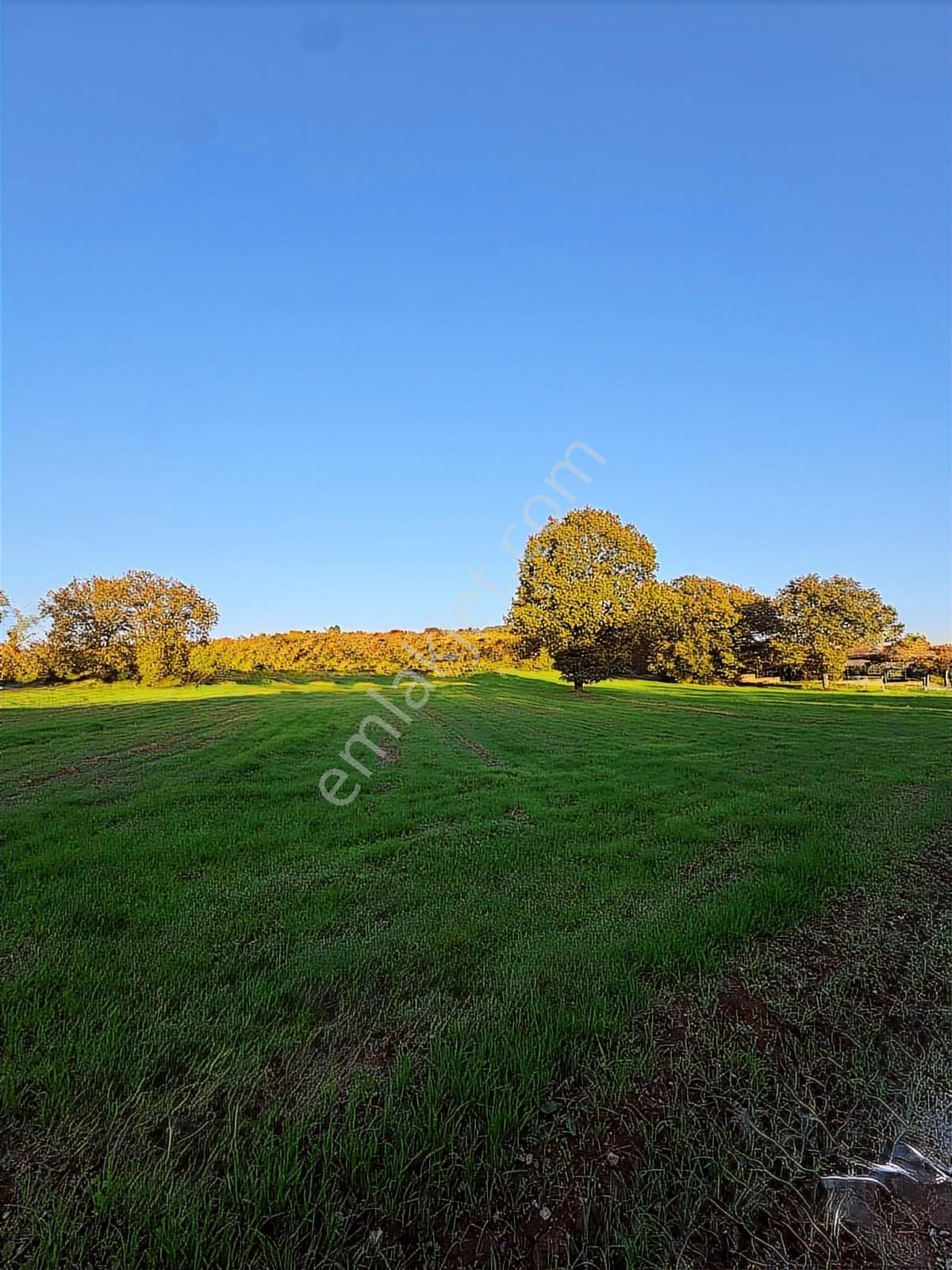 Kocaeli Ovacık Mahallesi Satılık 396 M2 Tarla