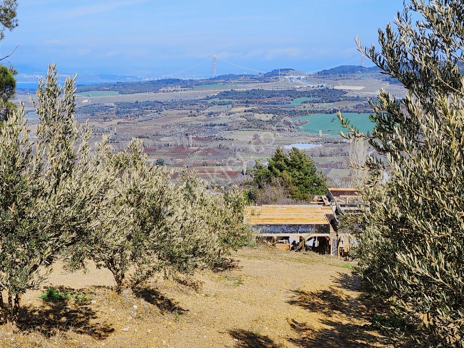 Umurbey'de İmara Bitişik Boğaz Ve Köprü Manzaralı 7 Dönüm Tarla.