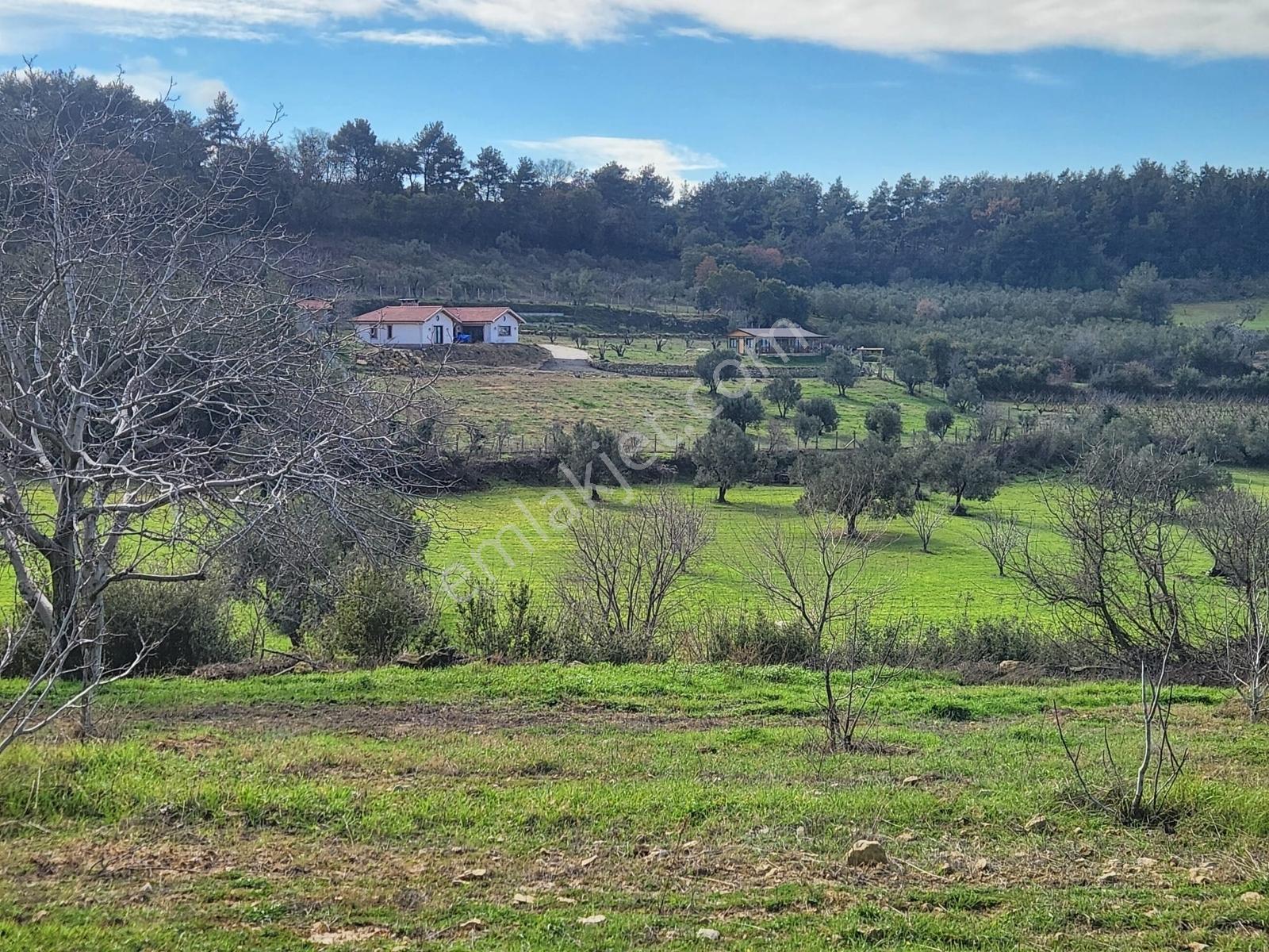 Umurbey'de İmara Bitişik Boğaz Ve Köprü Manzaralı 7 Dönüm Tarla. - Görsel 18
