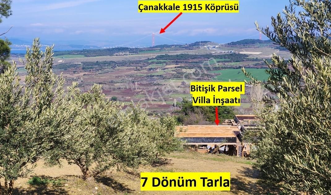 Umurbey'de İmara Bitişik Boğaz Ve Köprü Manzaralı 7 Dönüm Tarla. - Görsel 13