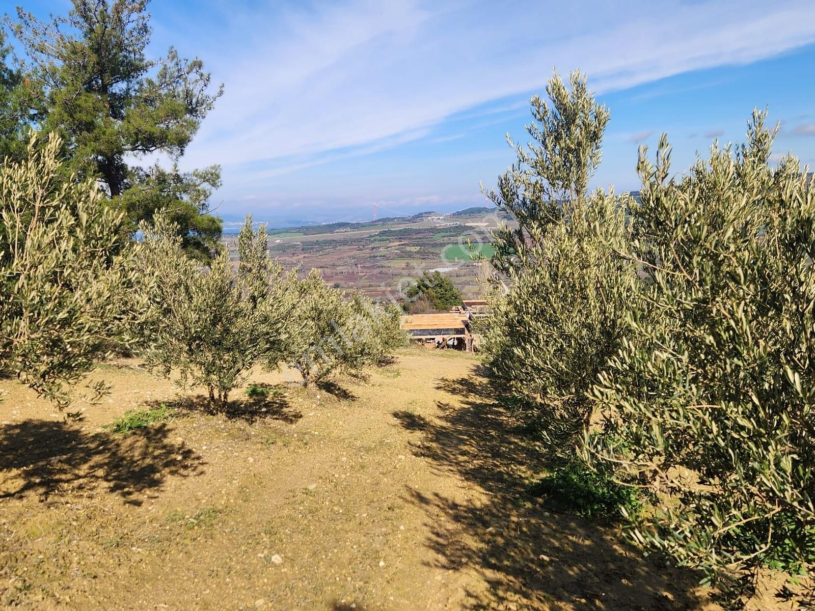 Umurbey'de İmara Bitişik Boğaz Ve Köprü Manzaralı 7 Dönüm Tarla. - Görsel 9