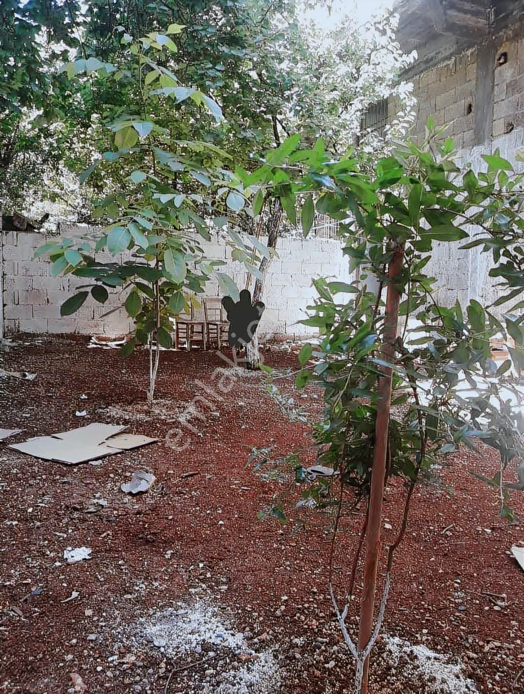 Kare'den Mağarabaşı Deva Hastanesi Civarında 3 Katlı Bina. - Görsel 21