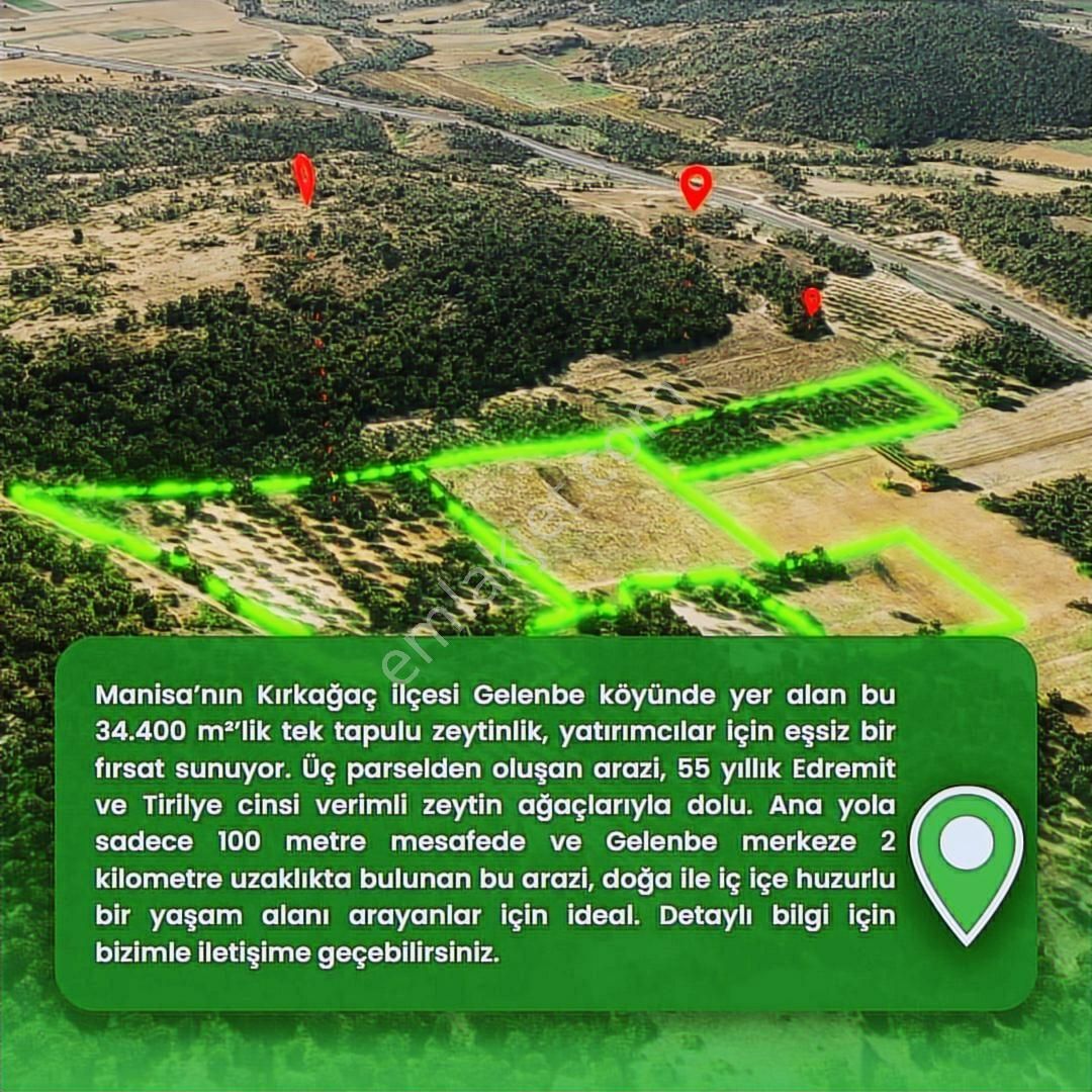 Mir'den Manisa-gelenbe'de, 34.400 M² Üç Parsel Satılık Zeytinlik - Görsel 11