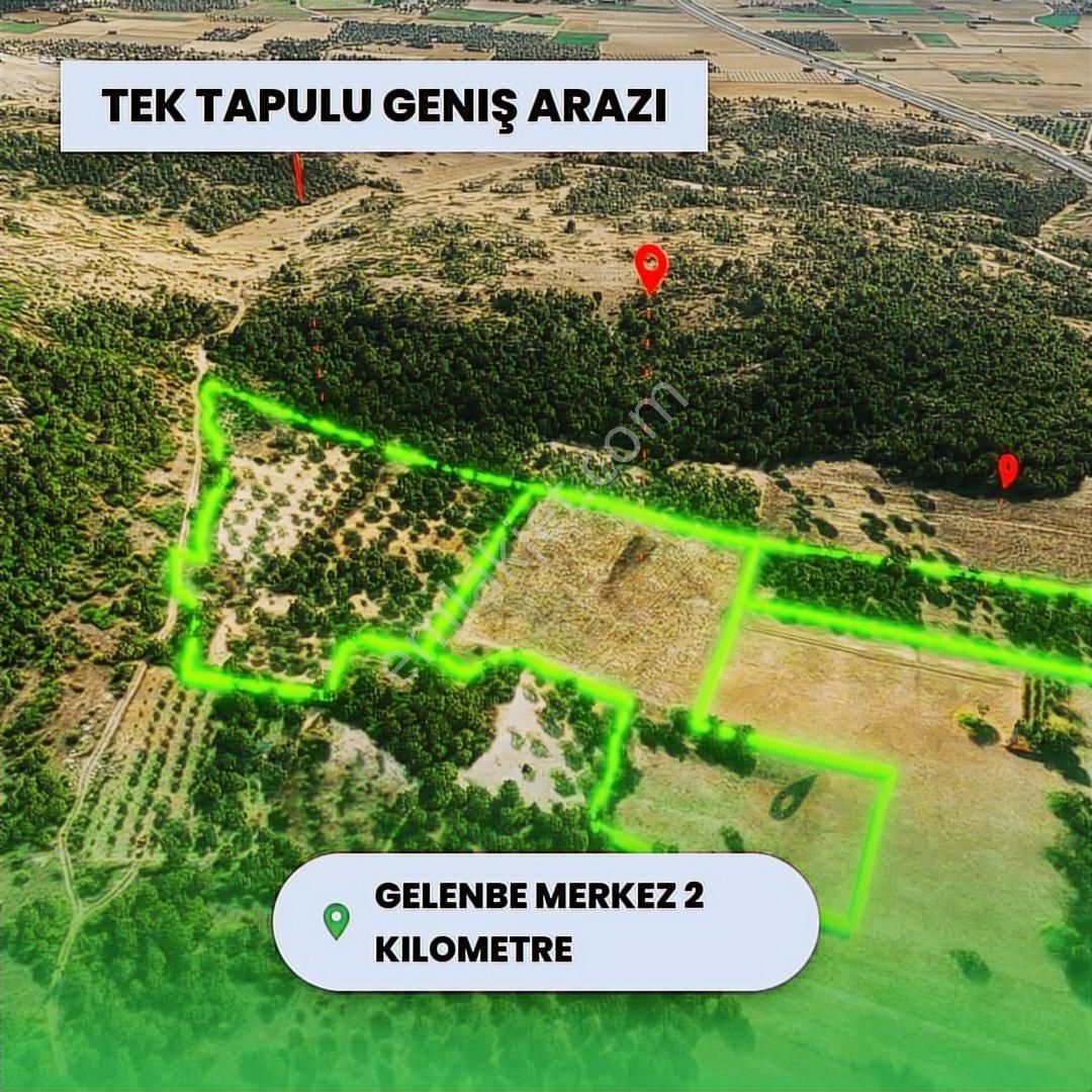 Mir'den Manisa-gelenbe'de, 34.400 M² Üç Parsel Satılık Zeytinlik - Görsel 2