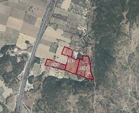 Mir'den Manisa-gelenbe'de, 34.400 M² Üç Parsel Satılık Zeytinlik - Görsel 8