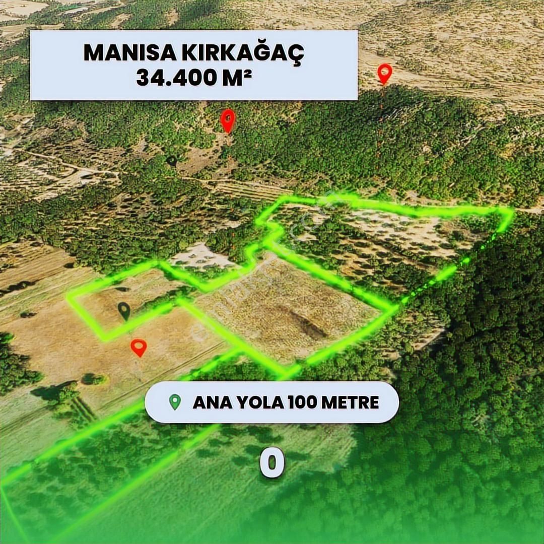 Mir'den Manisa-gelenbe'de, 34.400 M² Üç Parsel Satılık Zeytinlik - Görsel 13