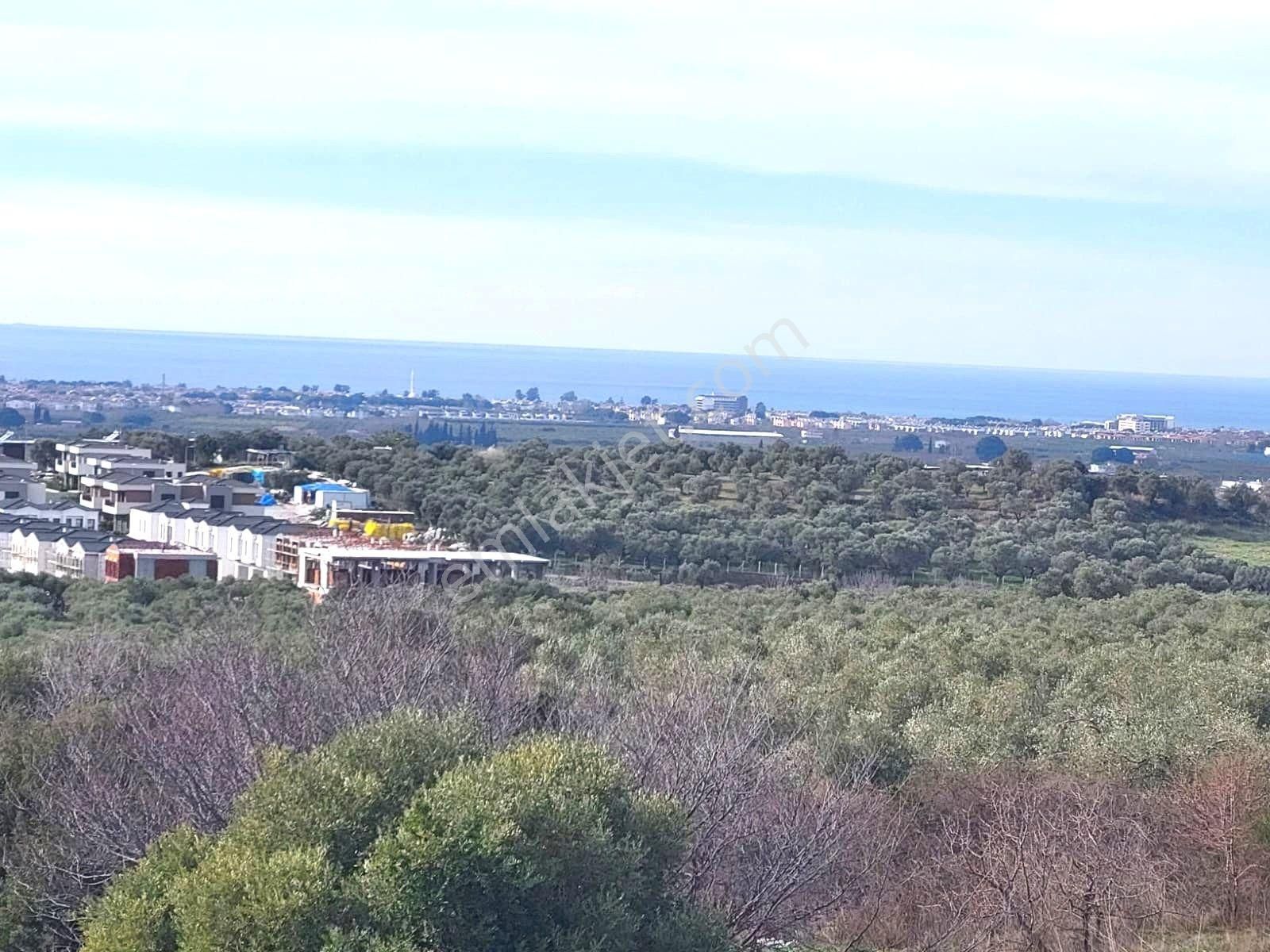 Kuşadası Davutlar Panaromik Deniz Manz. Eşyalı 4+1 Satılık Villa - Görsel 30