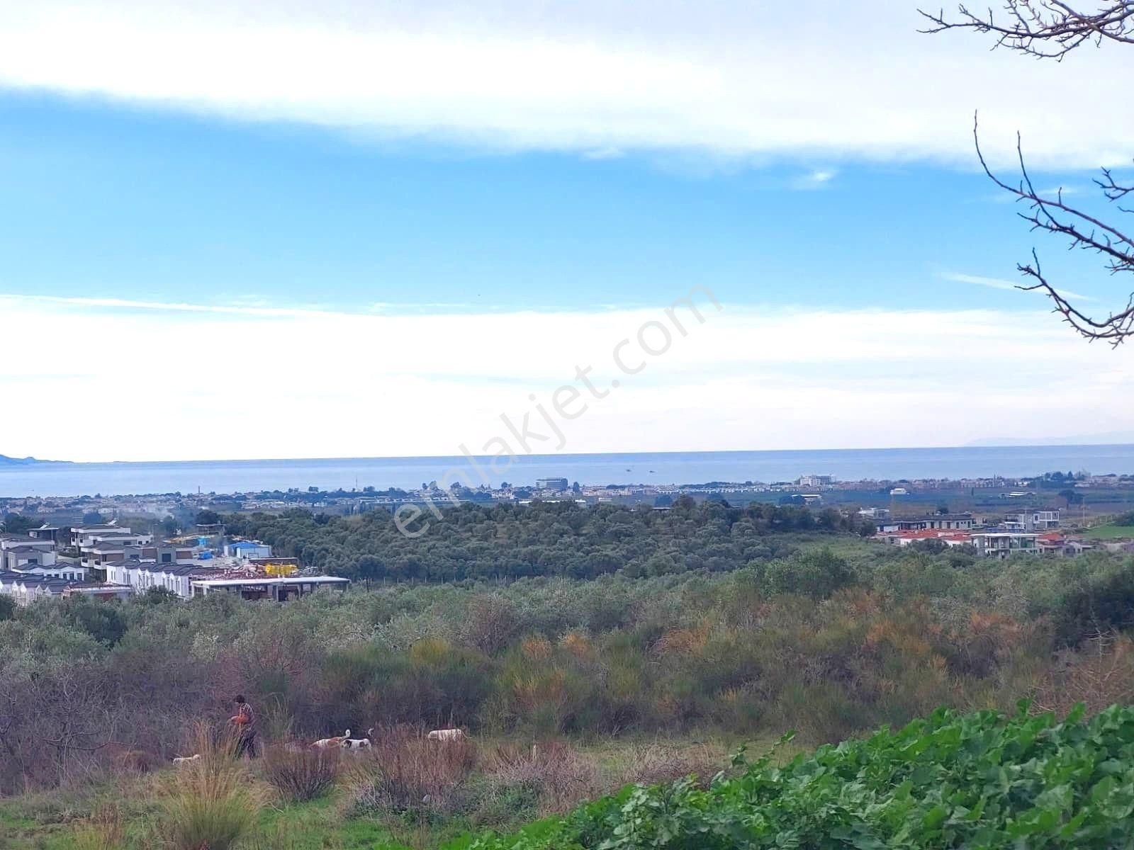 Kuşadası Davutlar Panaromik Deniz Manz. Eşyalı 4+1 Satılık Villa - Görsel 29