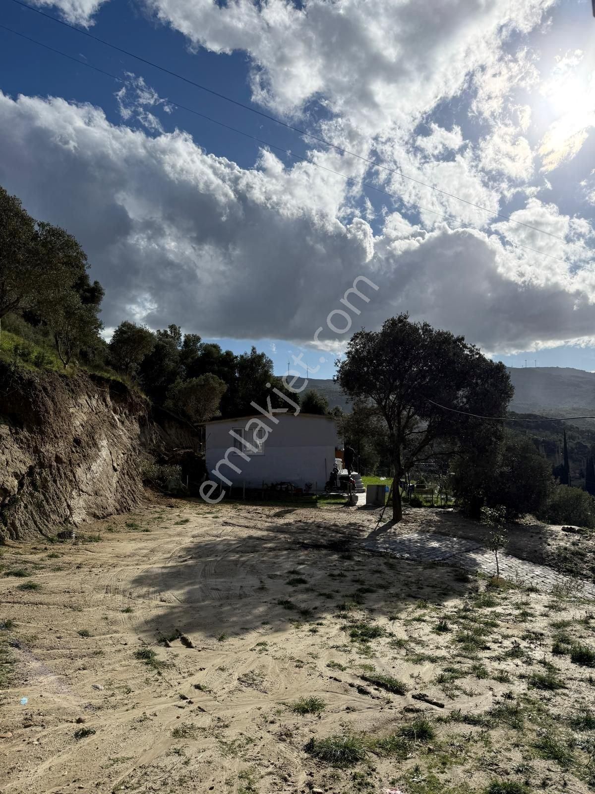 Söke Kuşadası Yolunda 7 Dönüm Satılık Arazi - Görsel 9