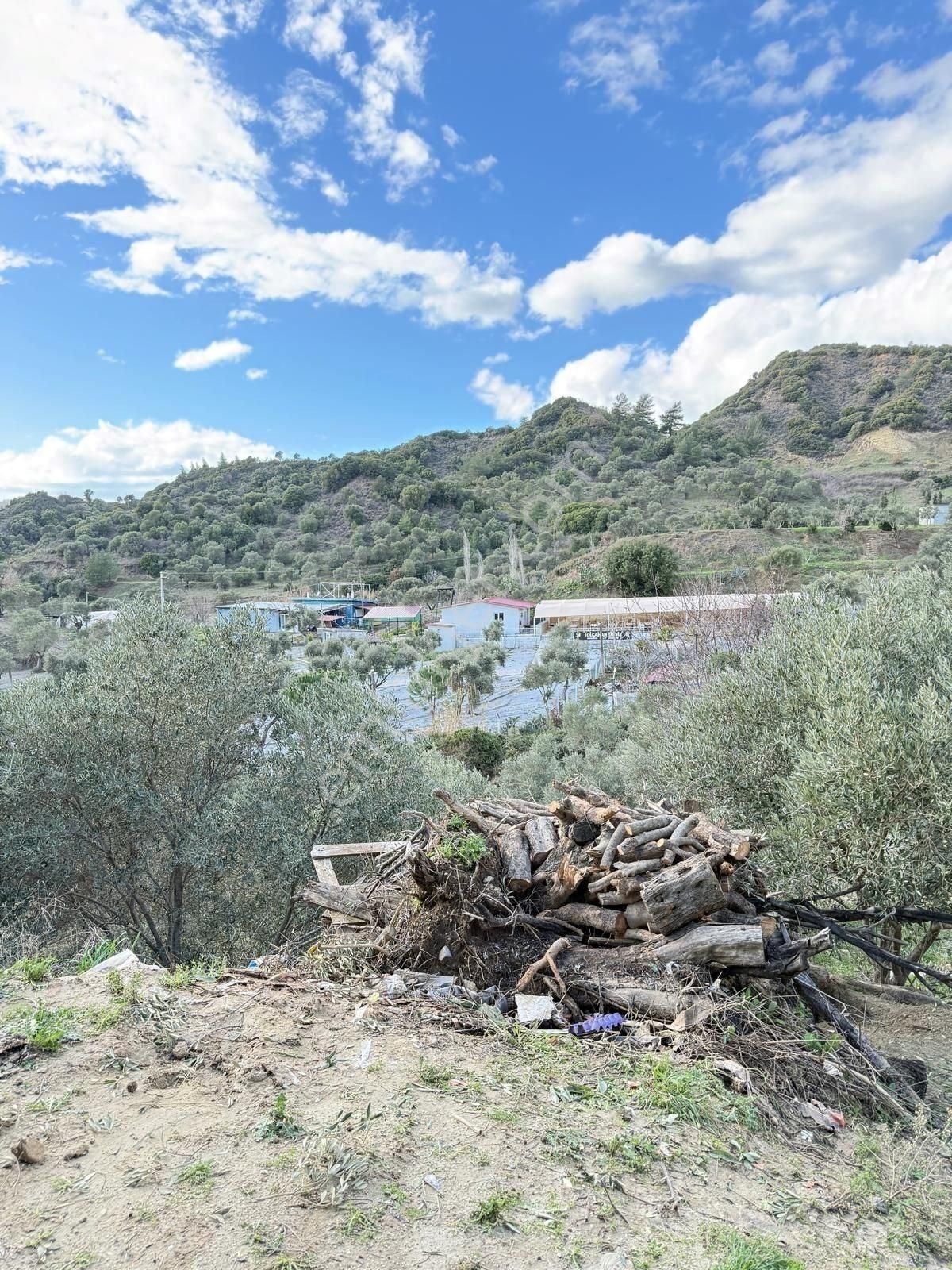 Söke Kuşadası Yolunda 7 Dönüm Satılık Arazi - Görsel 18