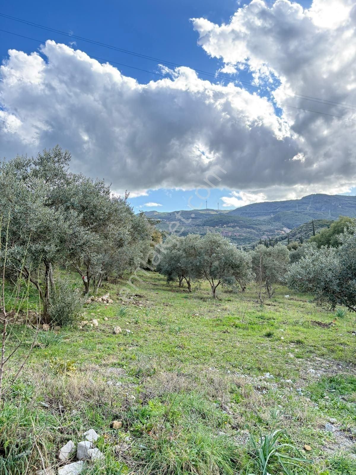 Söke Kuşadası Yolunda 7 Dönüm Satılık Arazi - Görsel 20
