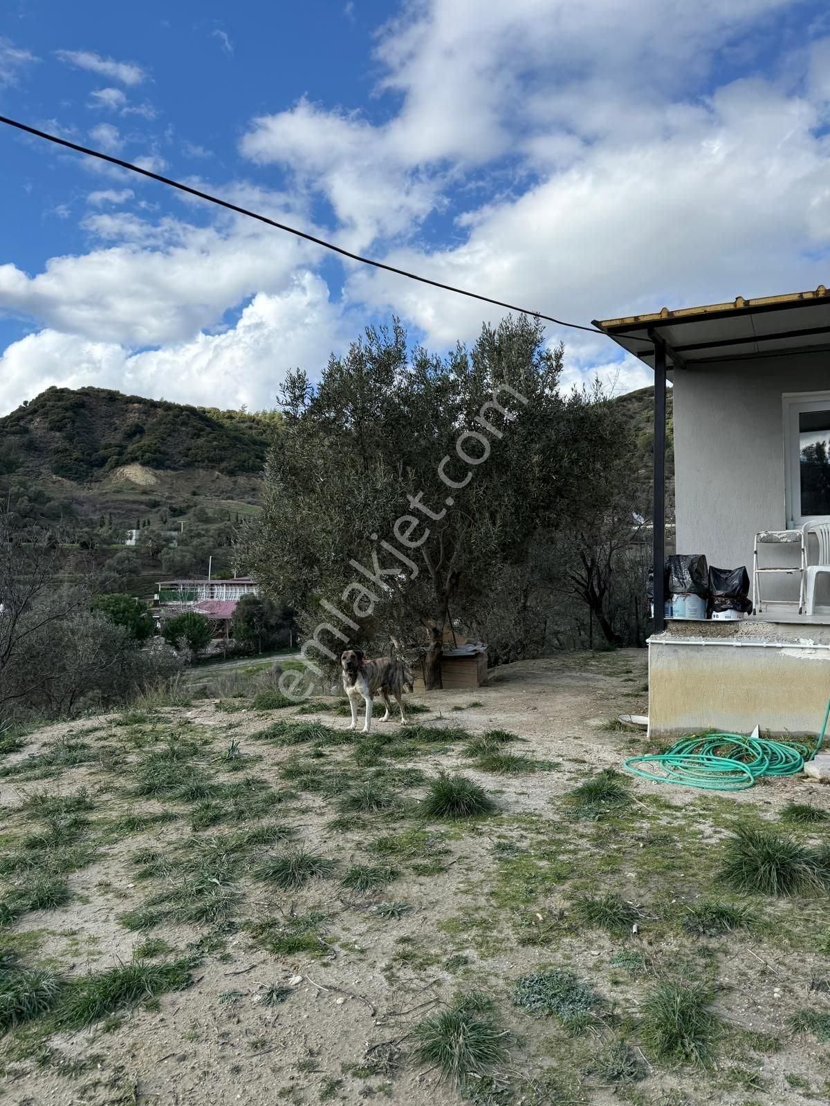 Söke Kuşadası Yolunda 7 Dönüm Satılık Arazi - Görsel 17