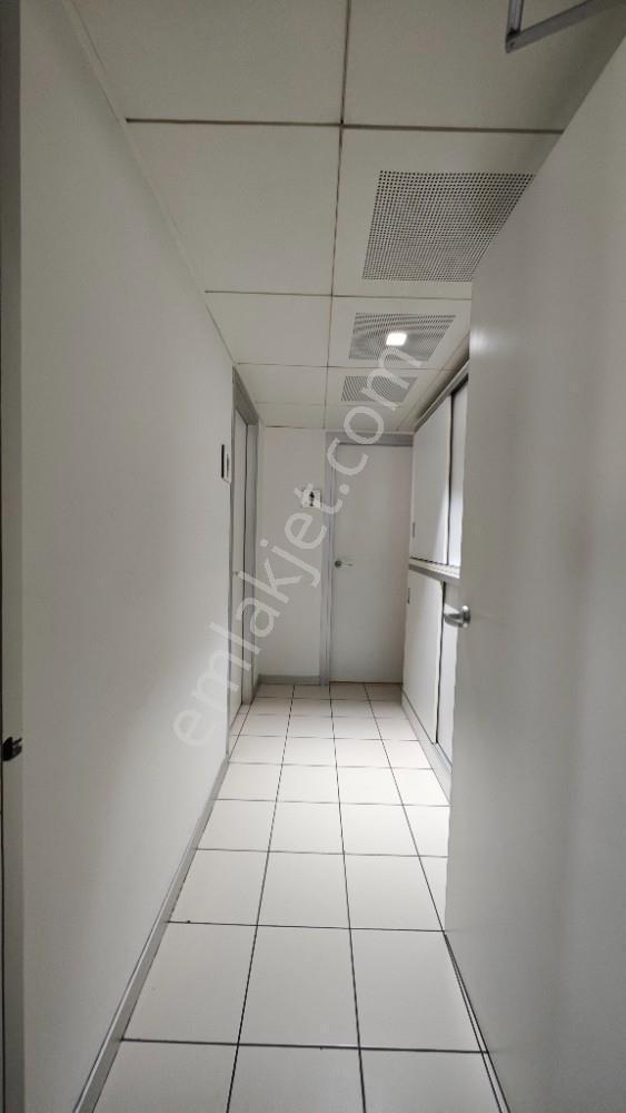 Balmumcu Koza İş Merkezinde Kdv Li Özel Dekorasyonlu 600 M2 Ofis - Görsel 31