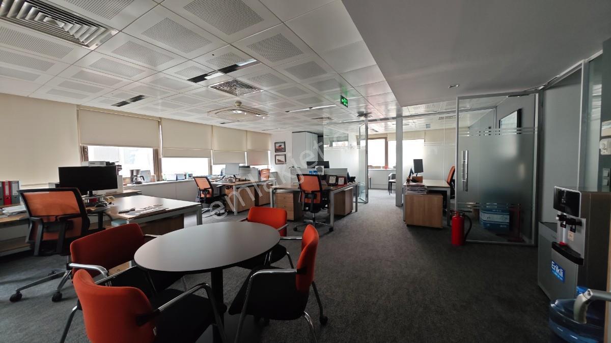 Balmumcu Koza İş Merkezinde Kdv Li Özel Dekorasyonlu 600 M2 Ofis - Görsel 12