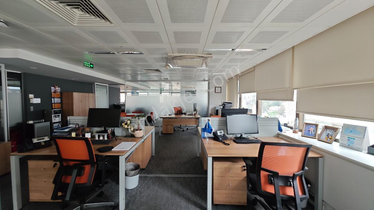 Balmumcu Koza İş Merkezinde Kdv Li Özel Dekorasyonlu 600 M2 Ofis - Görsel 15