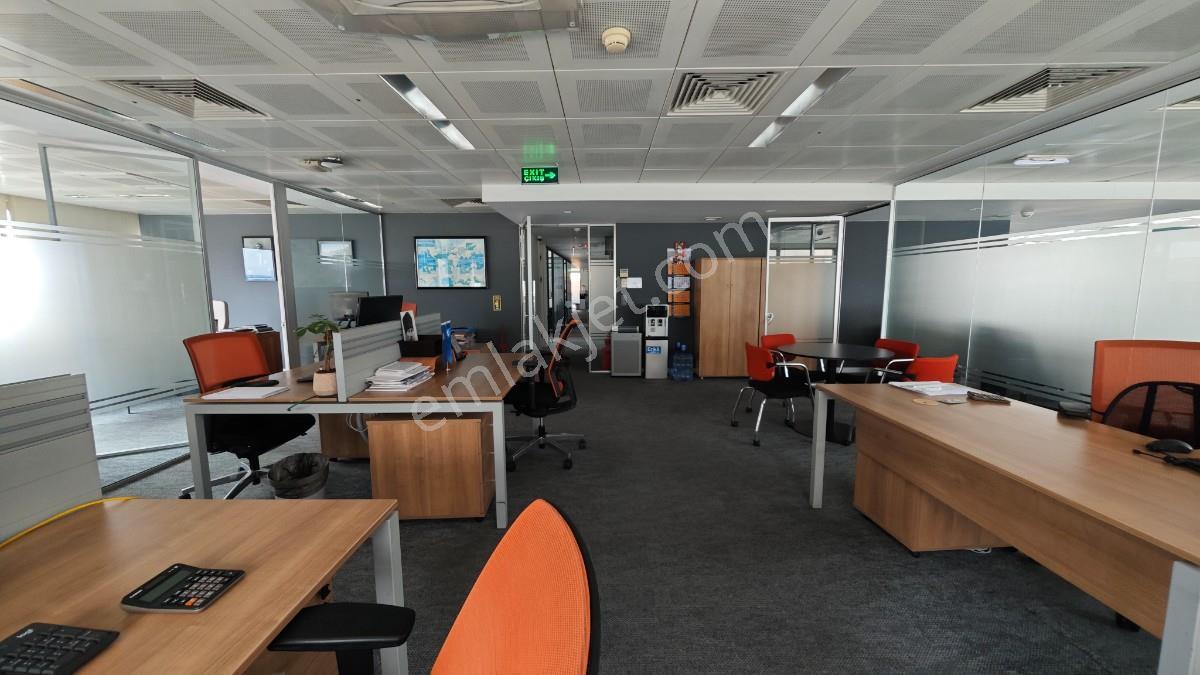 Balmumcu Koza İş Merkezinde Kdv Li Özel Dekorasyonlu 600 M2 Ofis - Görsel 16