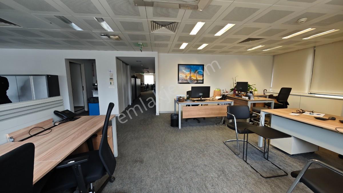 Balmumcu Koza İş Merkezinde Kdv Li Özel Dekorasyonlu 600 M2 Ofis - Görsel 29