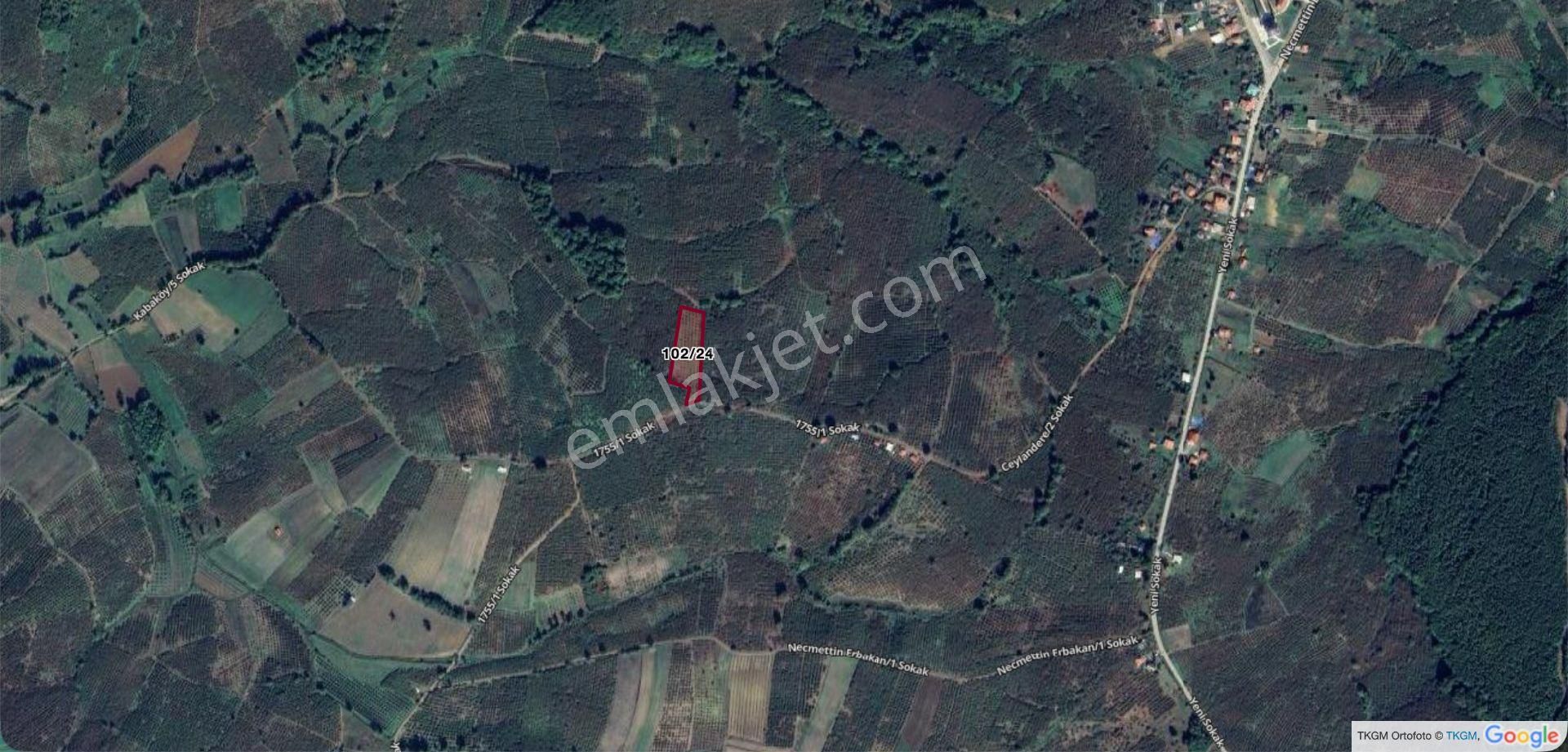 Ferizli Nalköy'de 5 Dönüm Fındık Bahçesi - Yatırımlık Fırsat - Görsel 6