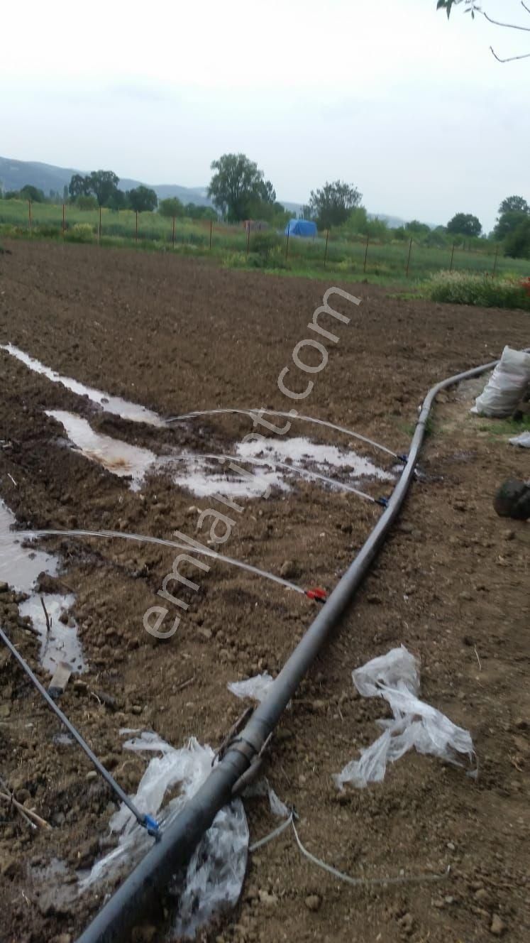 Bursa Nilüfer Yaylacık Tapu Ürünlü - Görsel 5