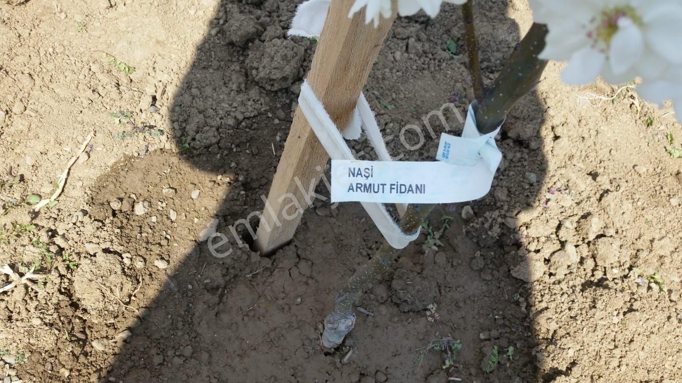 Bursa Nilüfer Yaylacık Tapu Ürünlü - Görsel 11