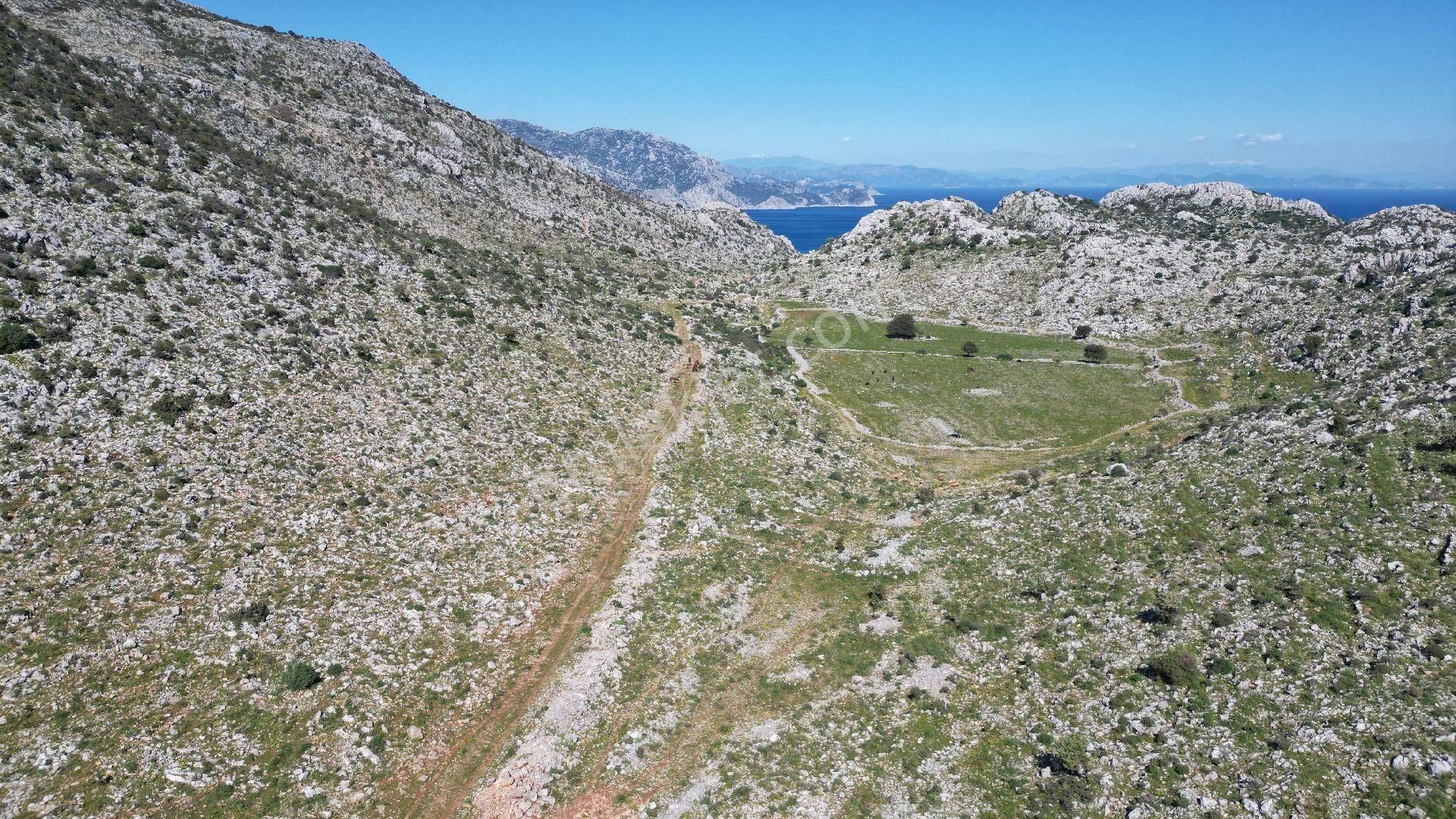 Joker: Denize 900 Metre Resmi Yol Cephe Yüksek M2 Satılık Tarla - Görsel 9