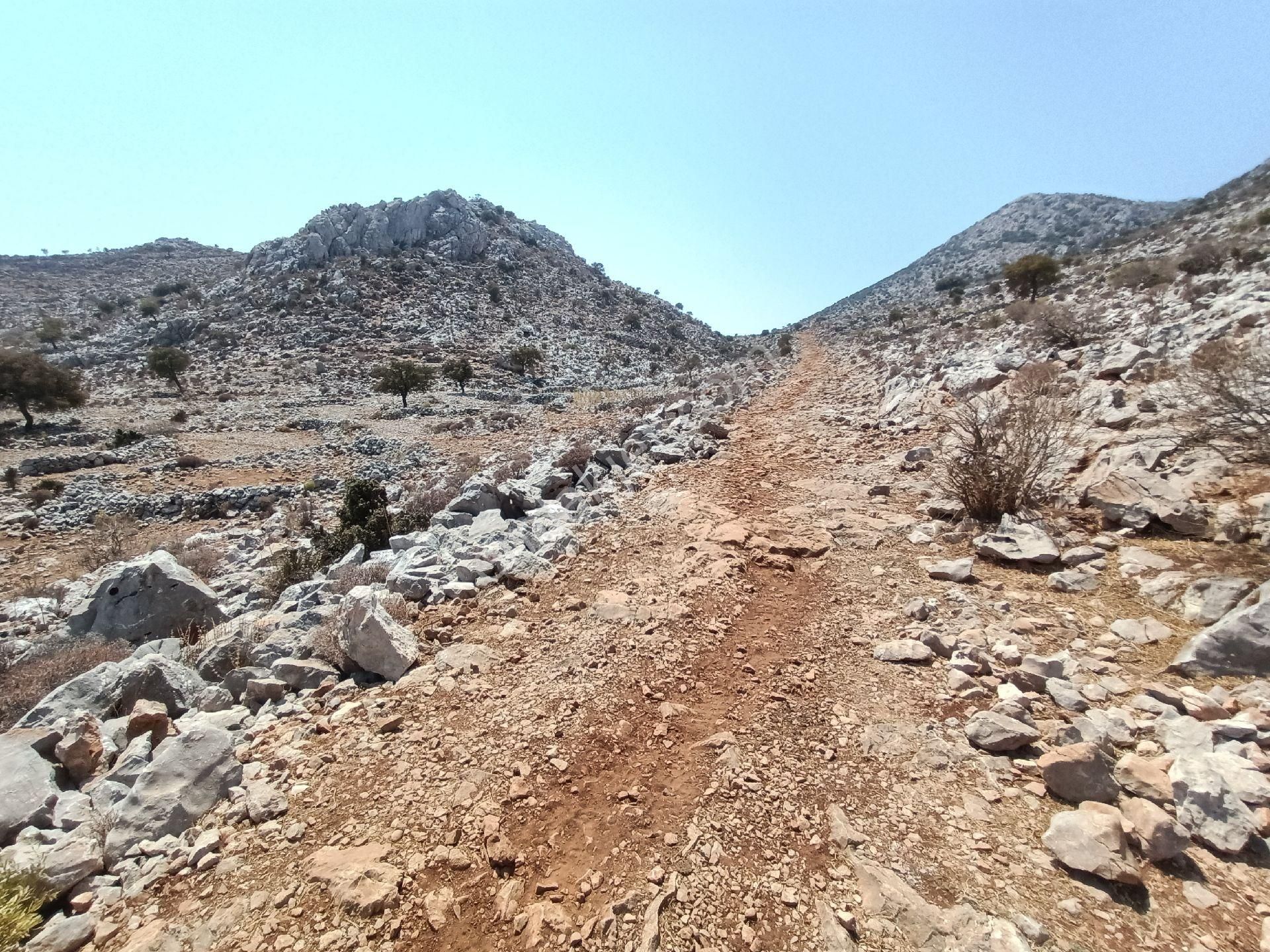 Joker: Denize 900 Metre Resmi Yol Cephe Yüksek M2 Satılık Tarla - Görsel 13