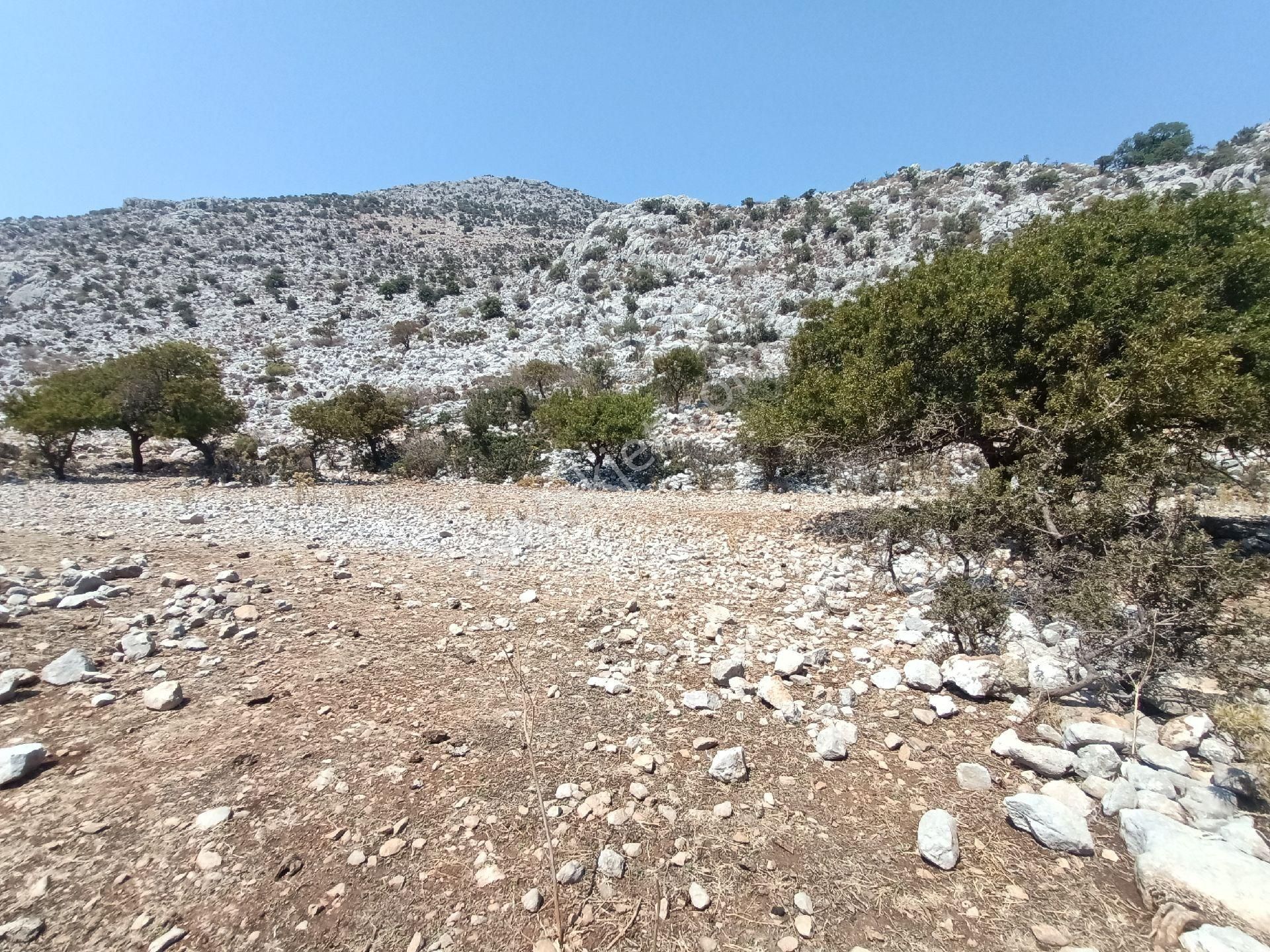 Joker: Denize 900 Metre Resmi Yol Cephe Yüksek M2 Satılık Tarla - Görsel 19