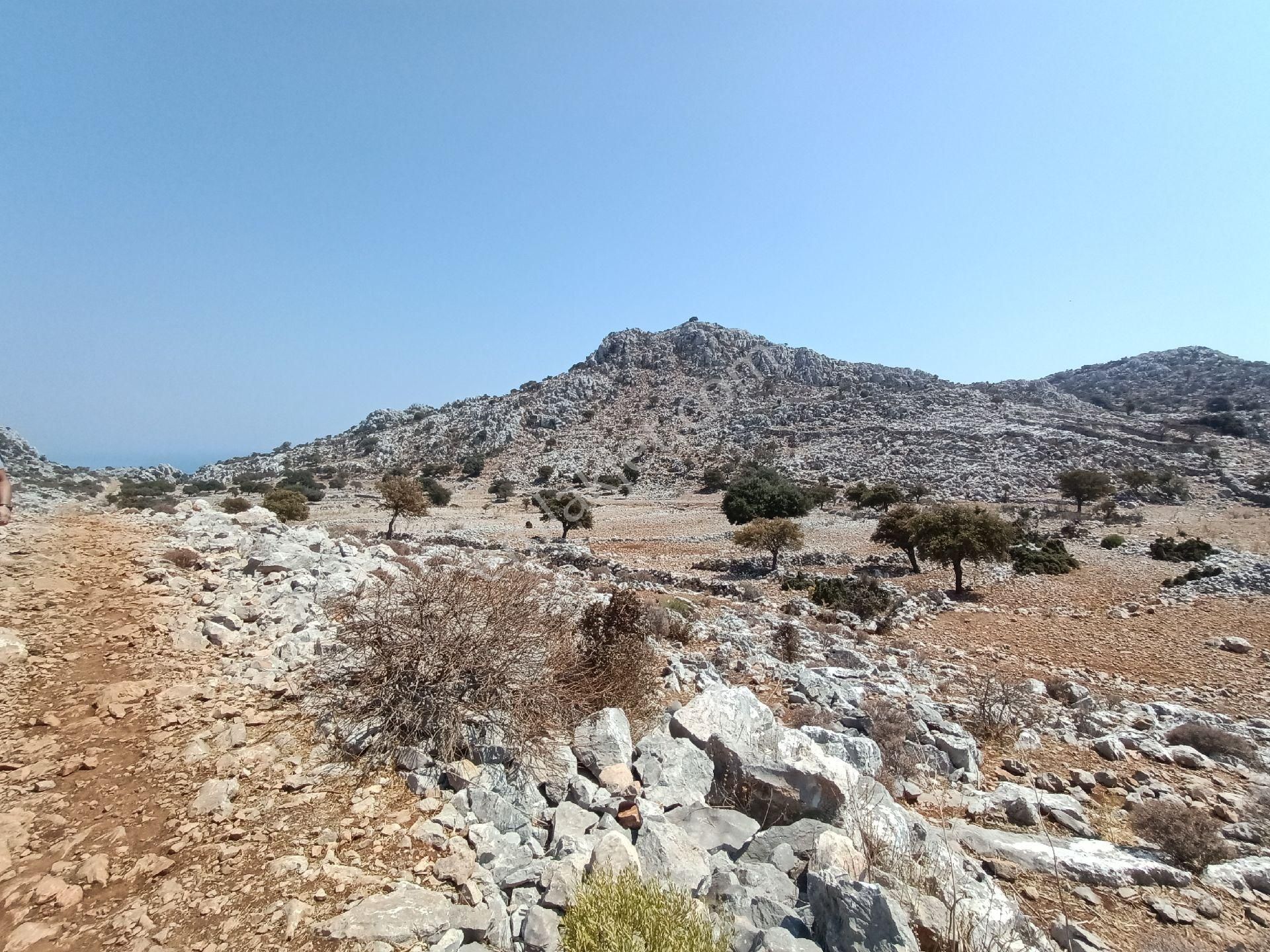 Joker: Denize 900 Metre Resmi Yol Cephe Yüksek M2 Satılık Tarla - Görsel 16