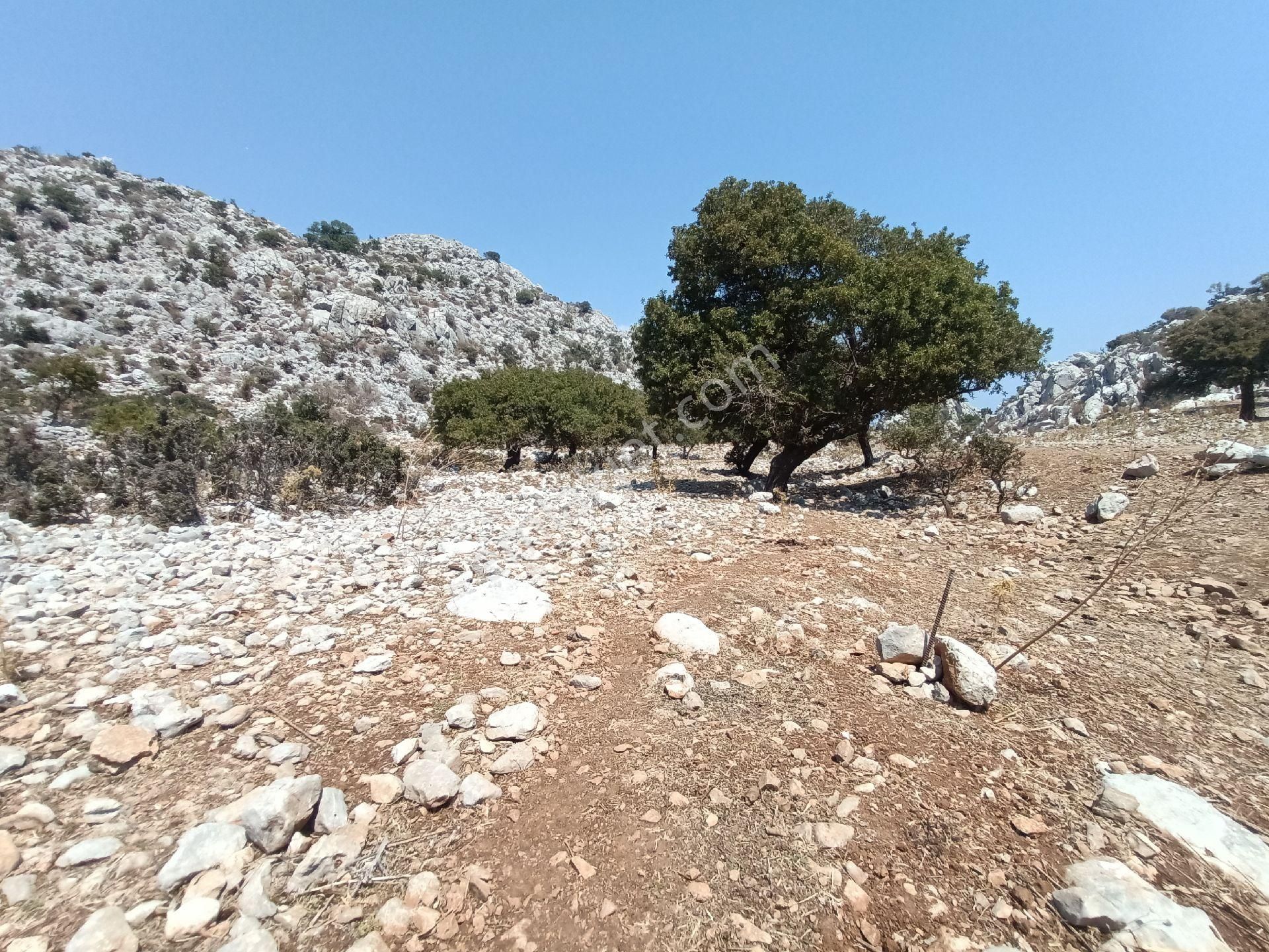 Joker: Denize 900 Metre Resmi Yol Cephe Yüksek M2 Satılık Tarla - Görsel 17