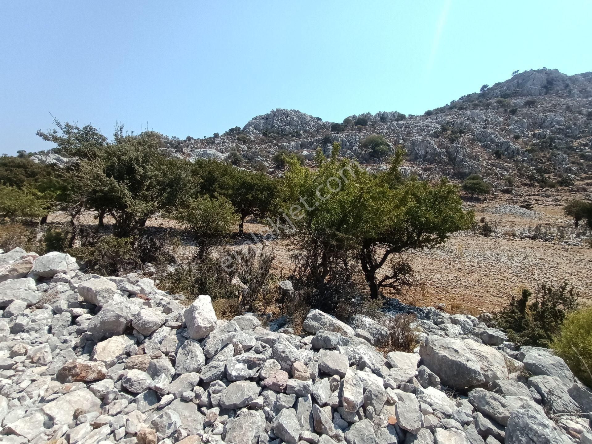 Joker: Denize 900 Metre Resmi Yol Cephe Yüksek M2 Satılık Tarla - Görsel 14