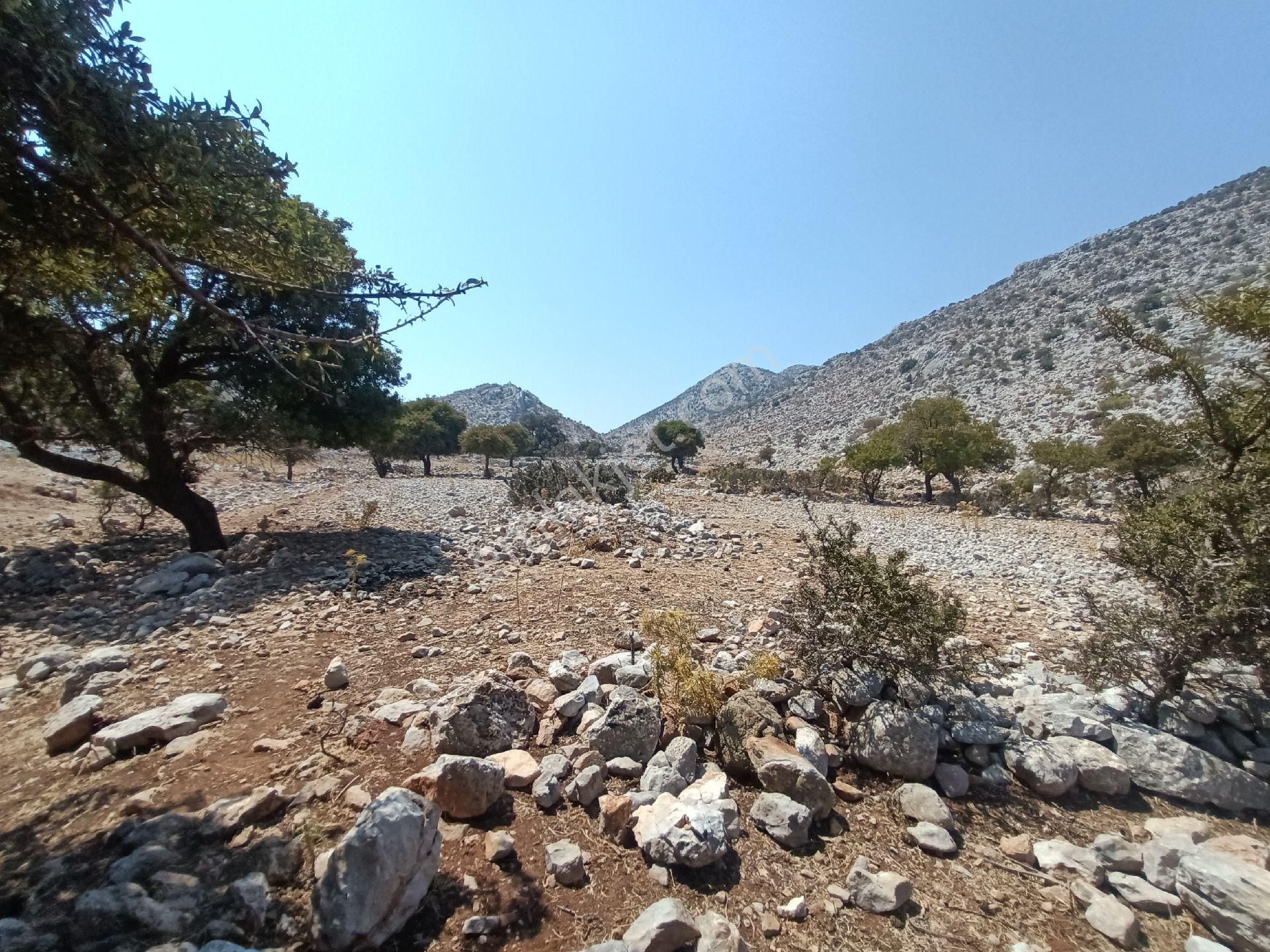 Joker: Denize 900 Metre Resmi Yol Cephe Yüksek M2 Satılık Tarla - Görsel 21