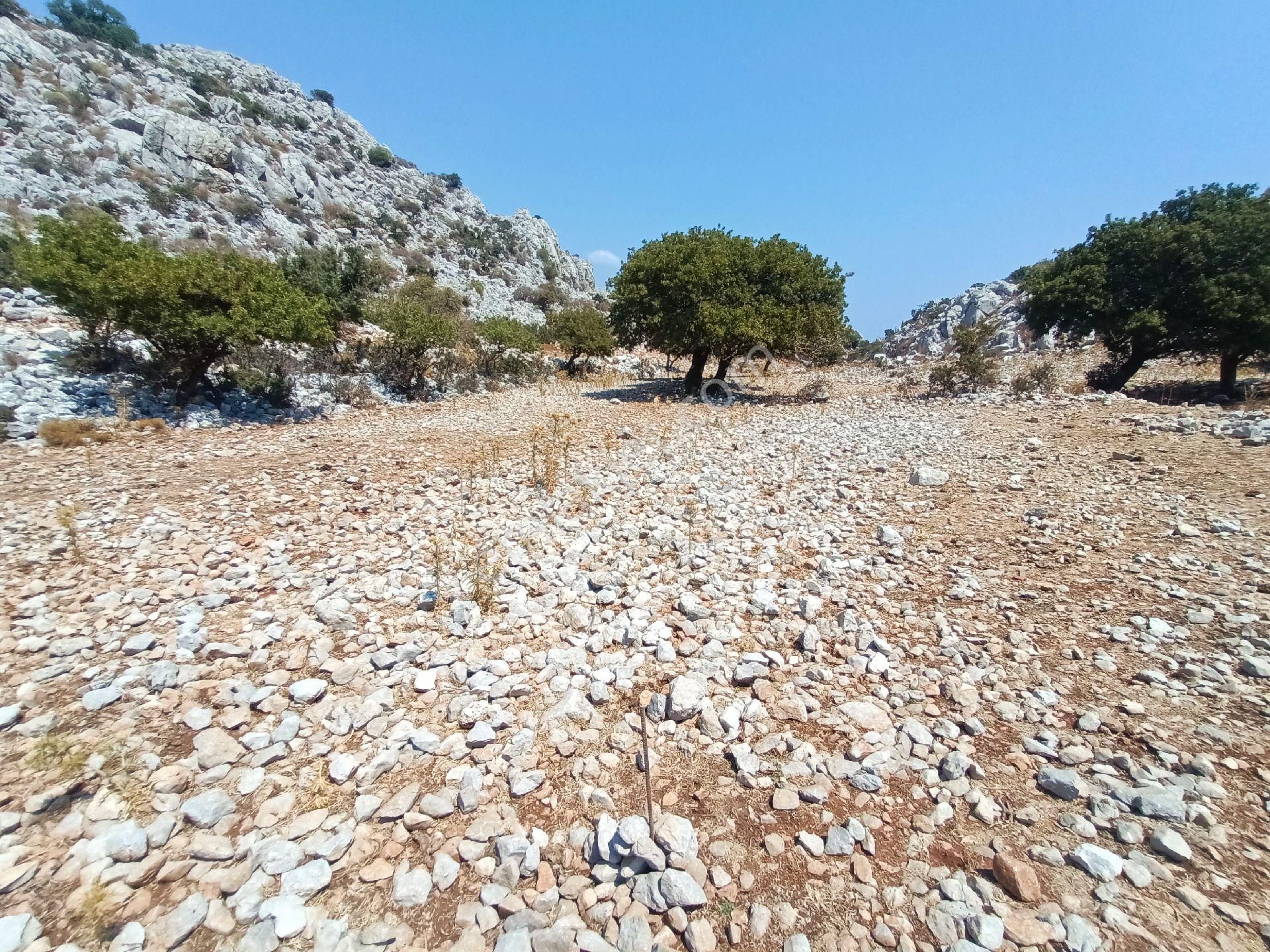 Joker: Denize 900 Metre Resmi Yol Cephe Yüksek M2 Satılık Tarla - Görsel 3