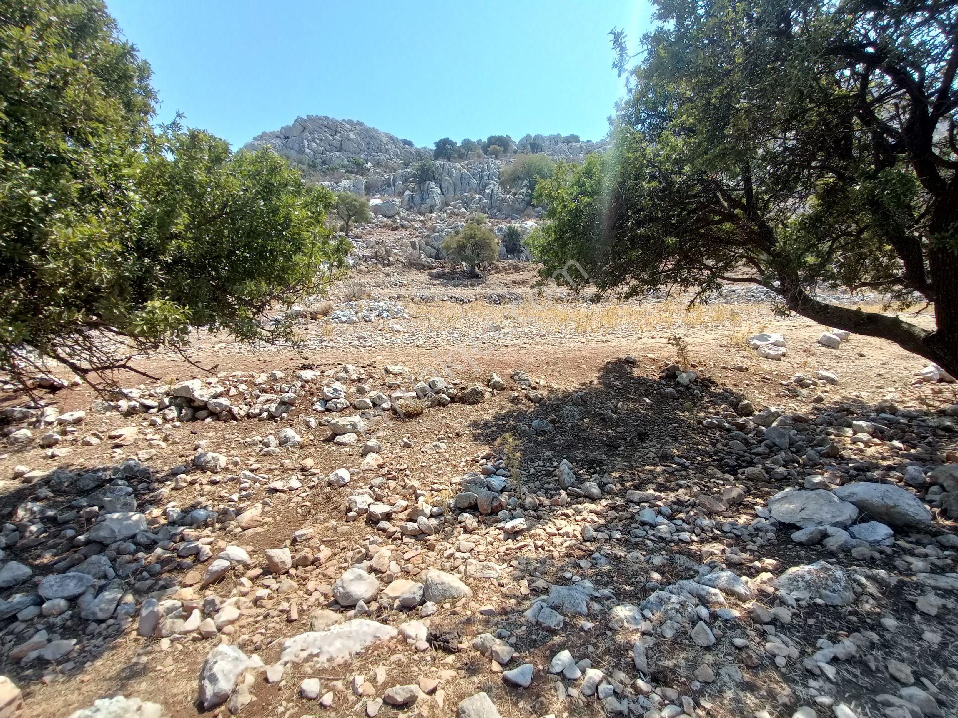 Joker: Denize 900 Metre Resmi Yol Cephe Yüksek M2 Satılık Tarla - Görsel 20