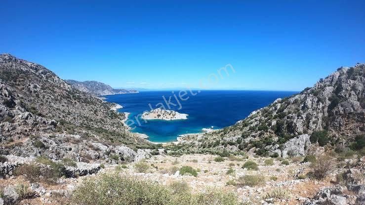 Joker: Denize 900 Metre Resmi Yol Cephe Yüksek M2 Satılık Tarla