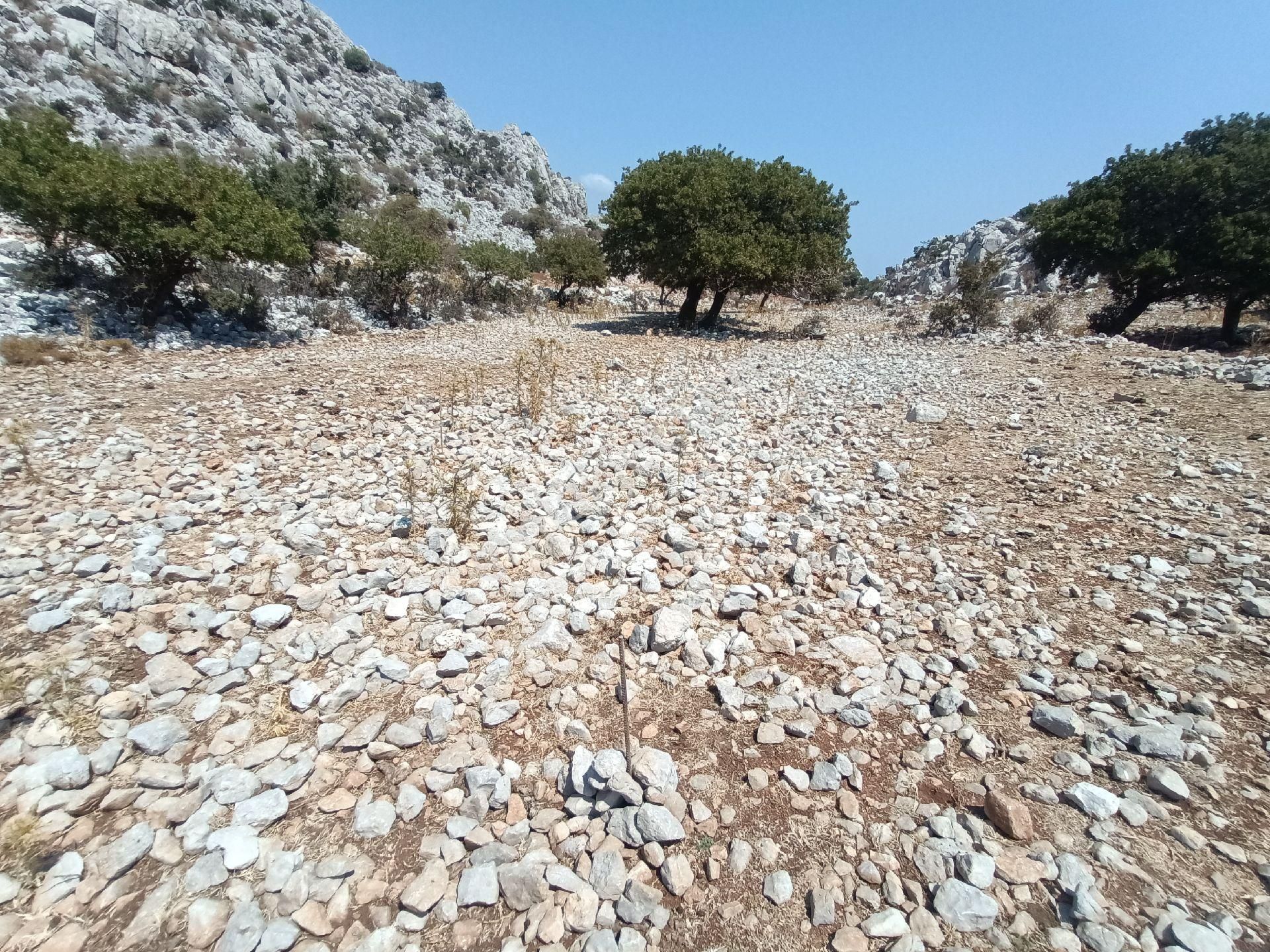 Joker: Denize 900 Metre Resmi Yol Cephe Yüksek M2 Satılık Tarla - Görsel 18