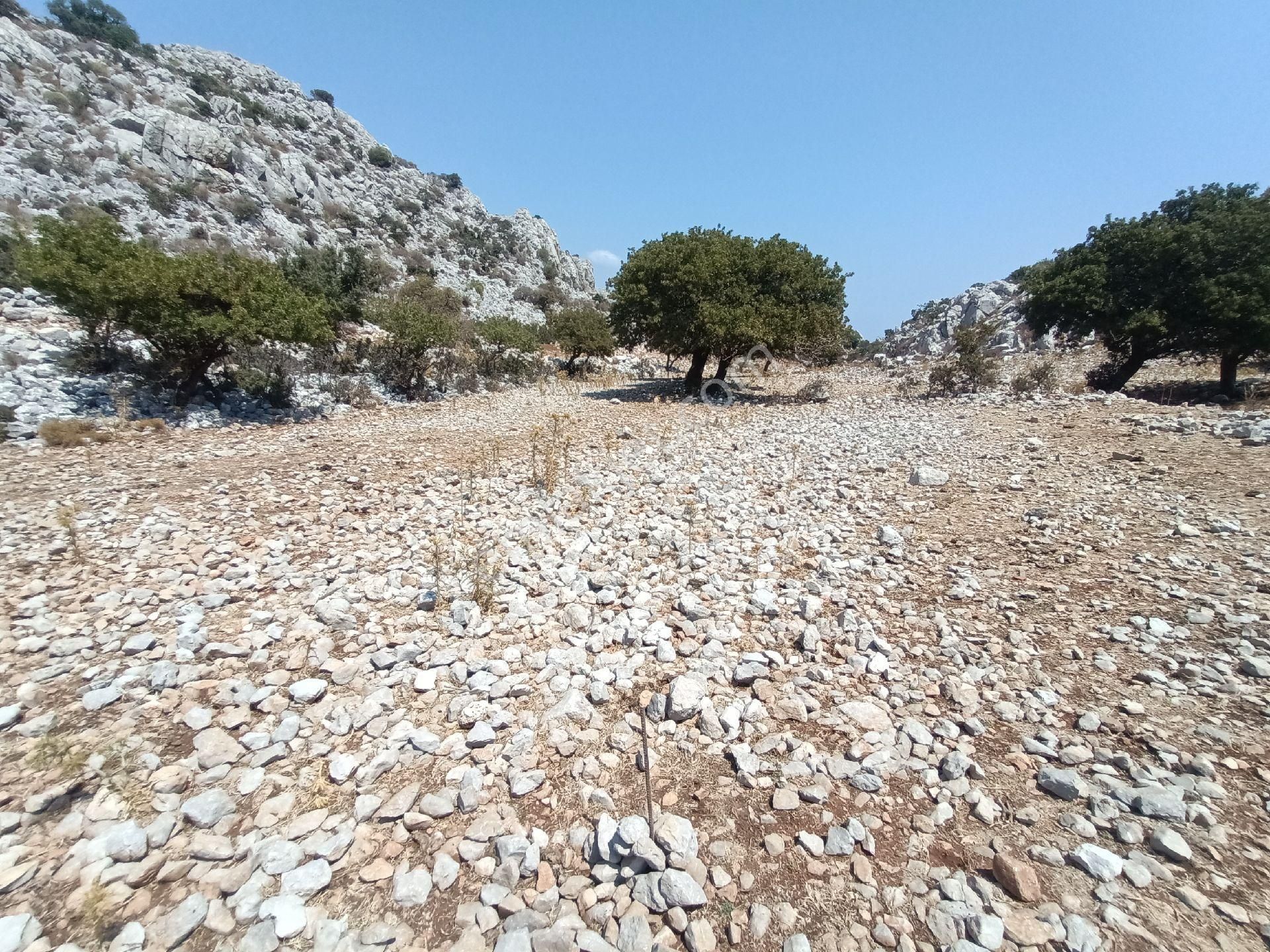 Joker: Denize 900 Metre Resmi Yol Cephe Yüksek M2 Satılık Tarla - Görsel 22