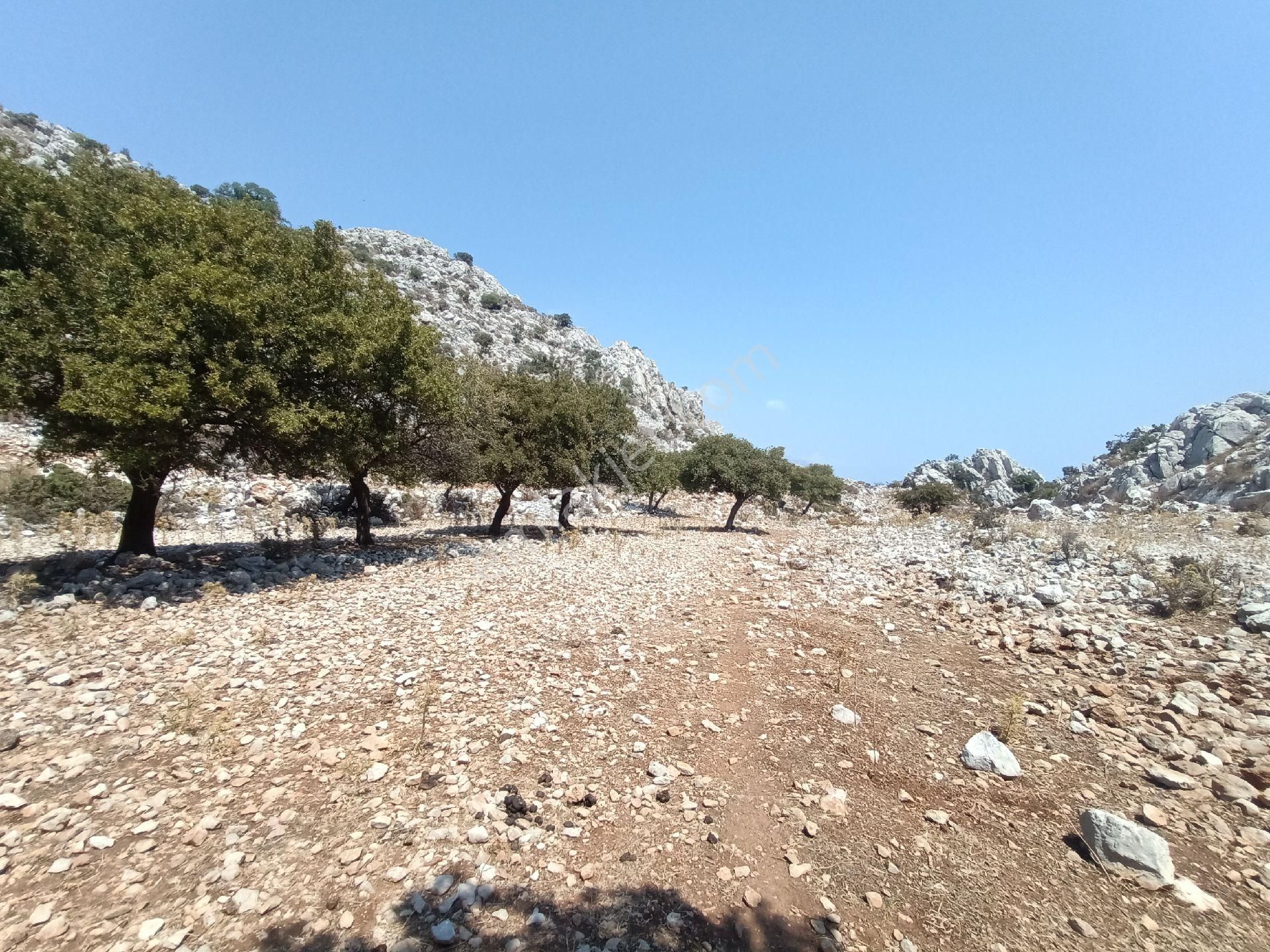 Joker: Denize 900 Metre Resmi Yol Cephe Yüksek M2 Satılık Tarla - Görsel 26