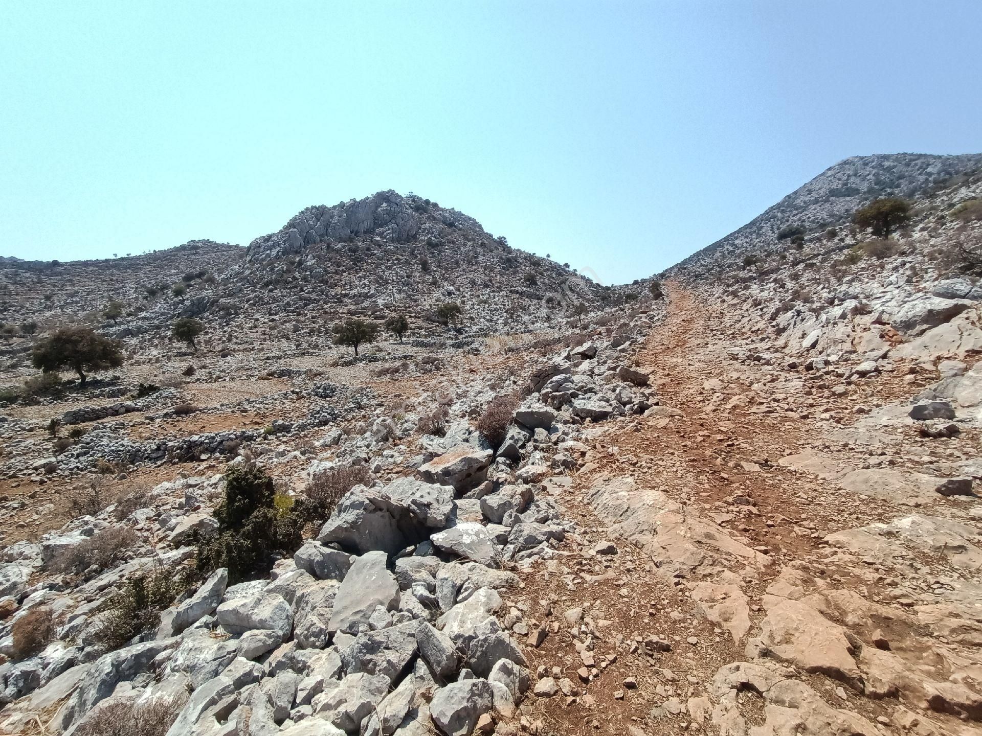 Joker: Denize 900 Metre Resmi Yol Cephe Yüksek M2 Satılık Tarla - Görsel 12