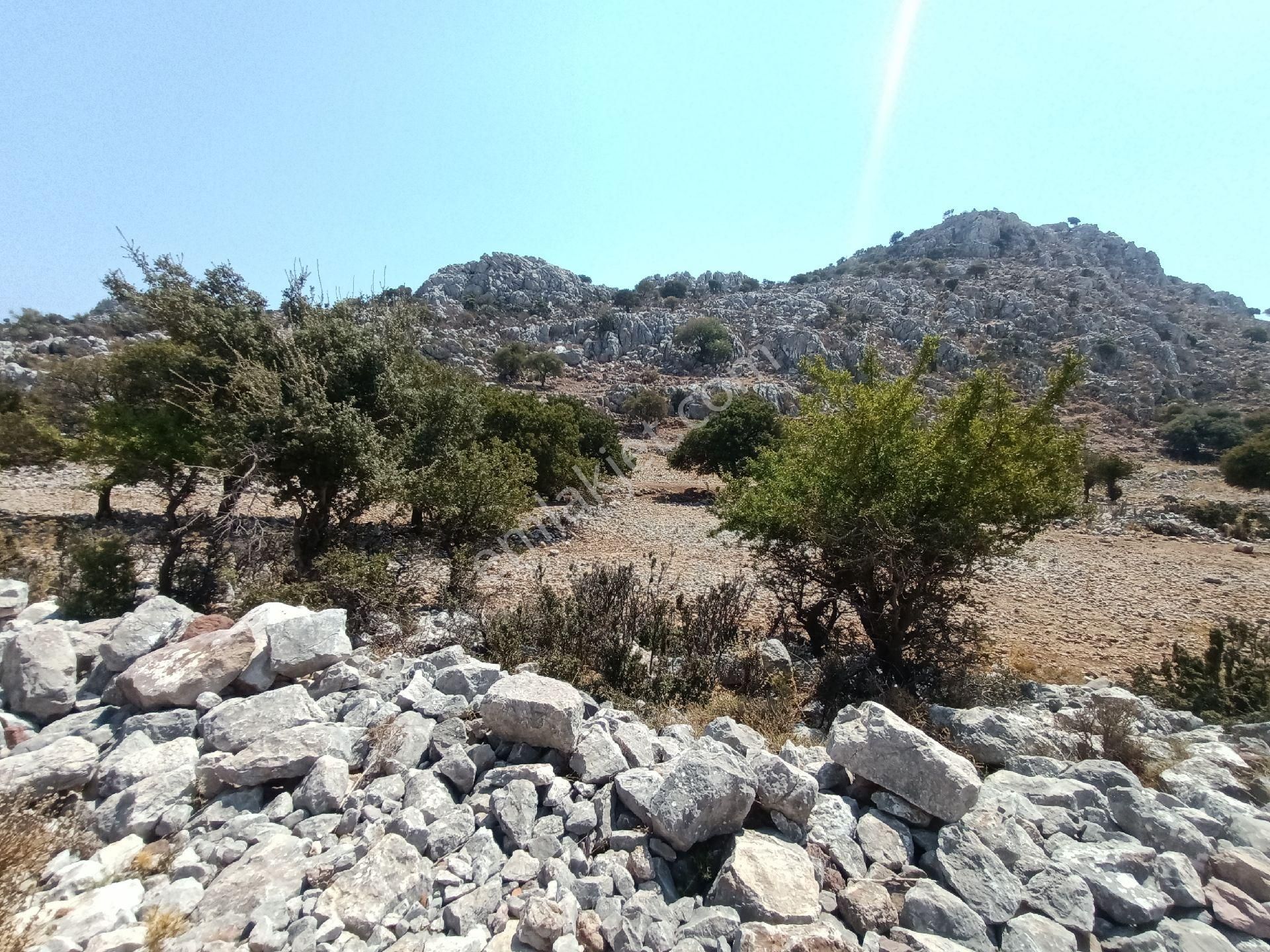 Joker: Denize 900 Metre Resmi Yol Cephe Yüksek M2 Satılık Tarla - Görsel 15