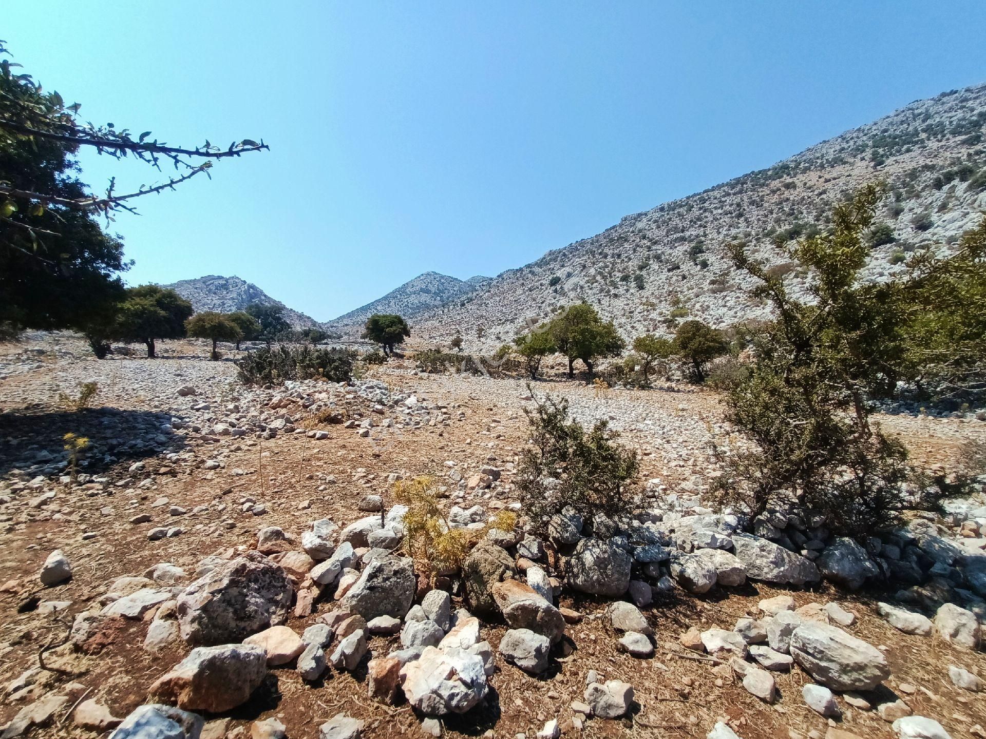 Joker: Denize 900 Metre Resmi Yol Cephe Yüksek M2 Satılık Tarla - Görsel 10